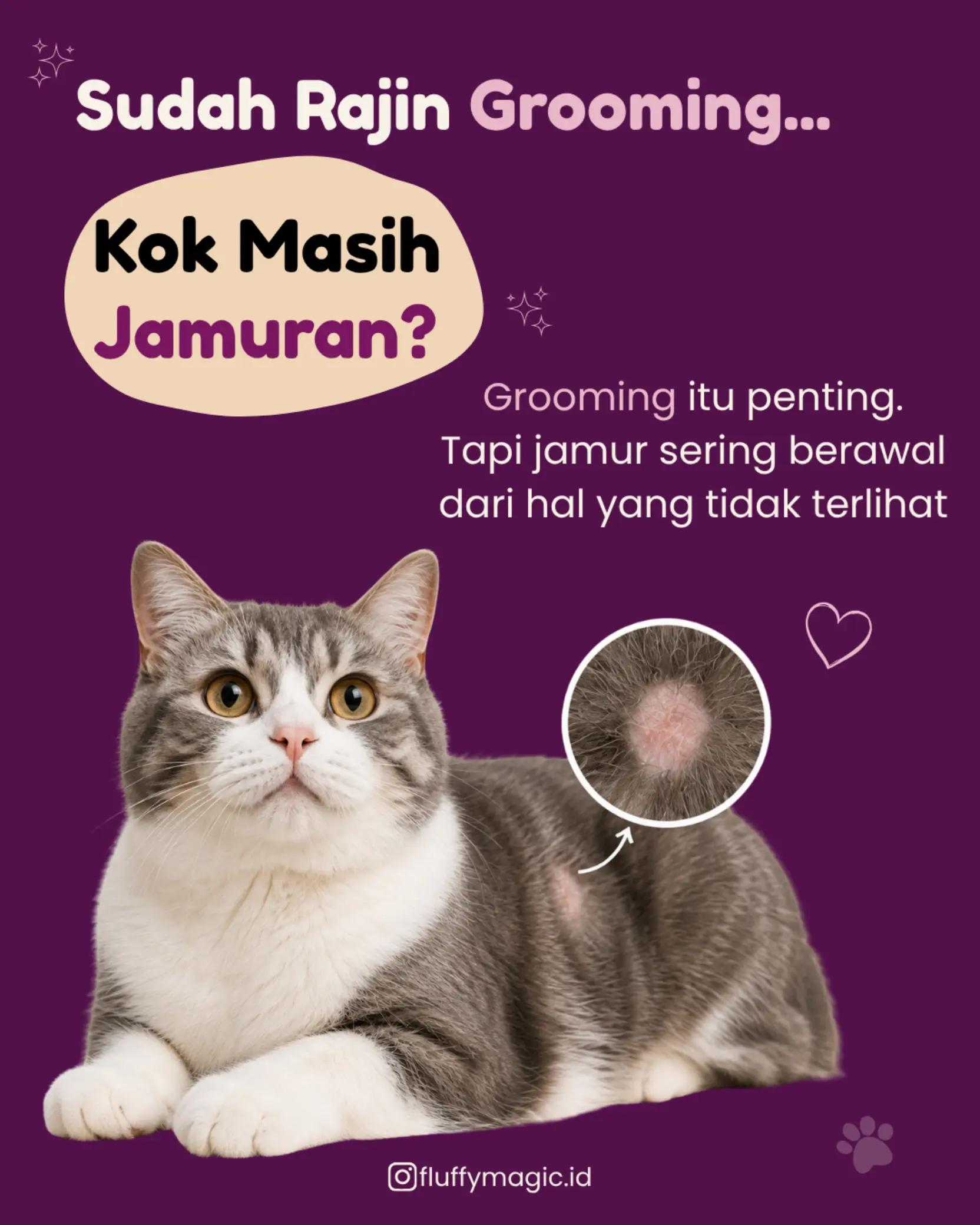 @Fluffy Magic