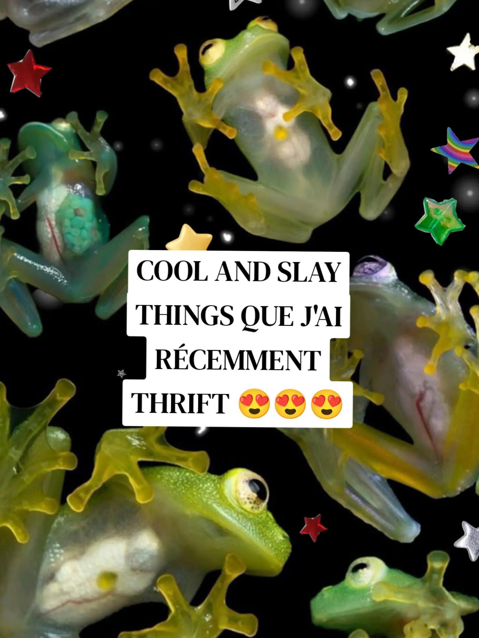 @Maya Imbeault