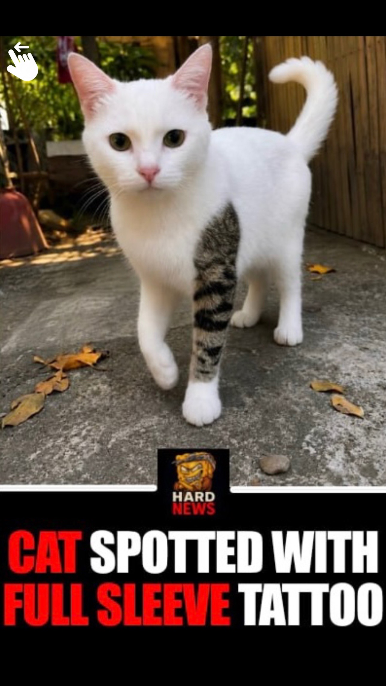 @Hard News