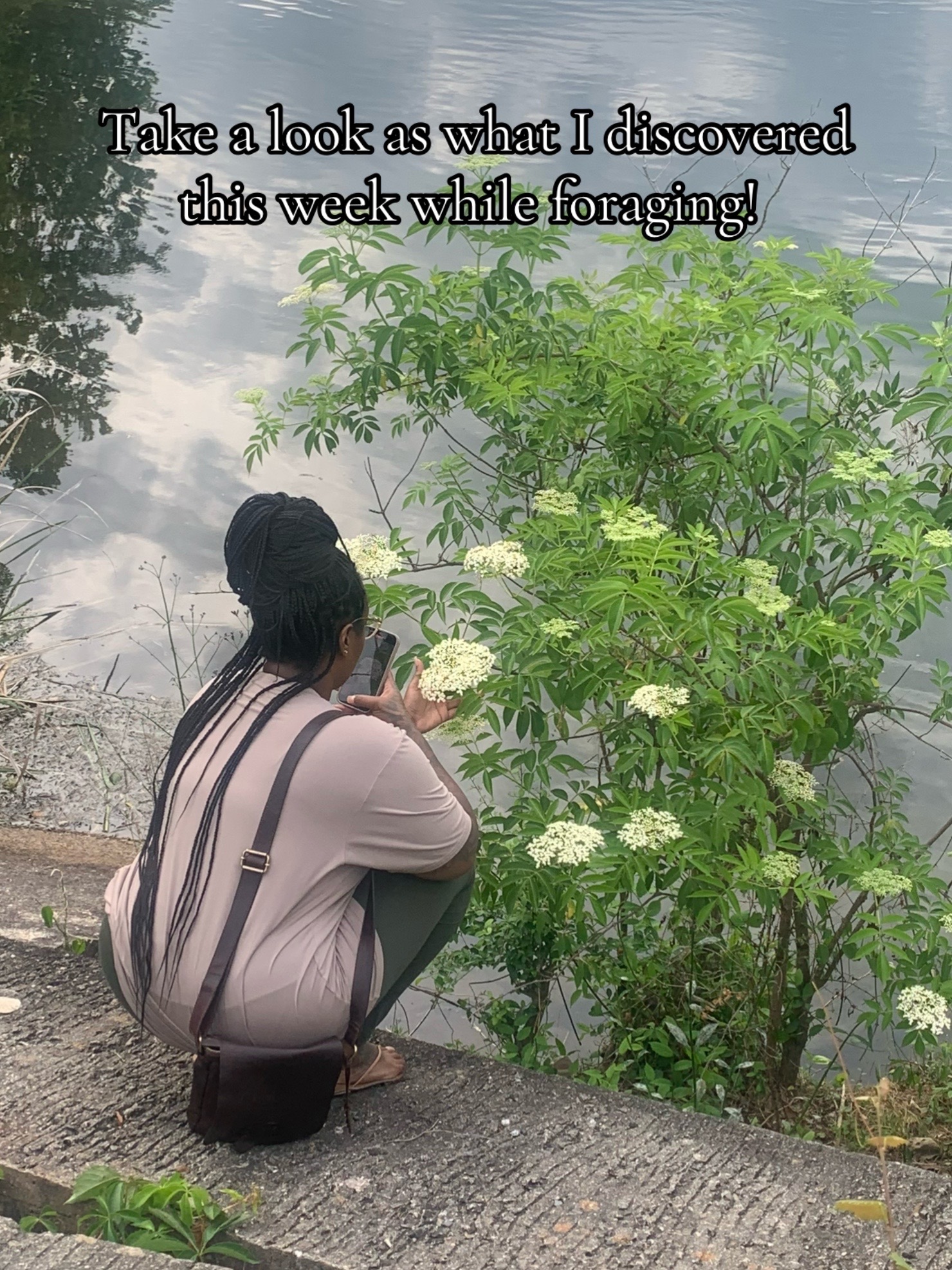 @Essencetheherbalist