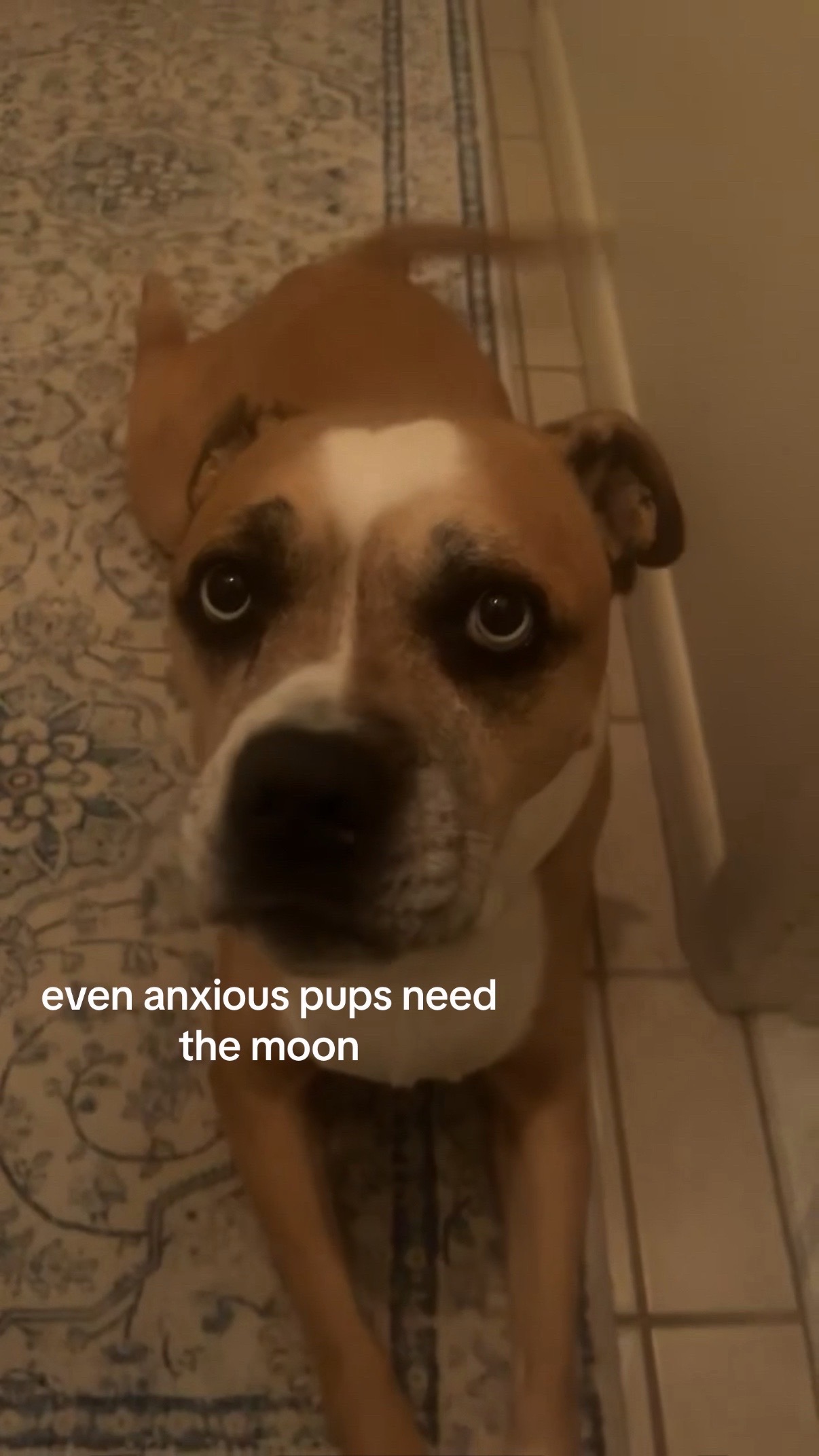 @ai