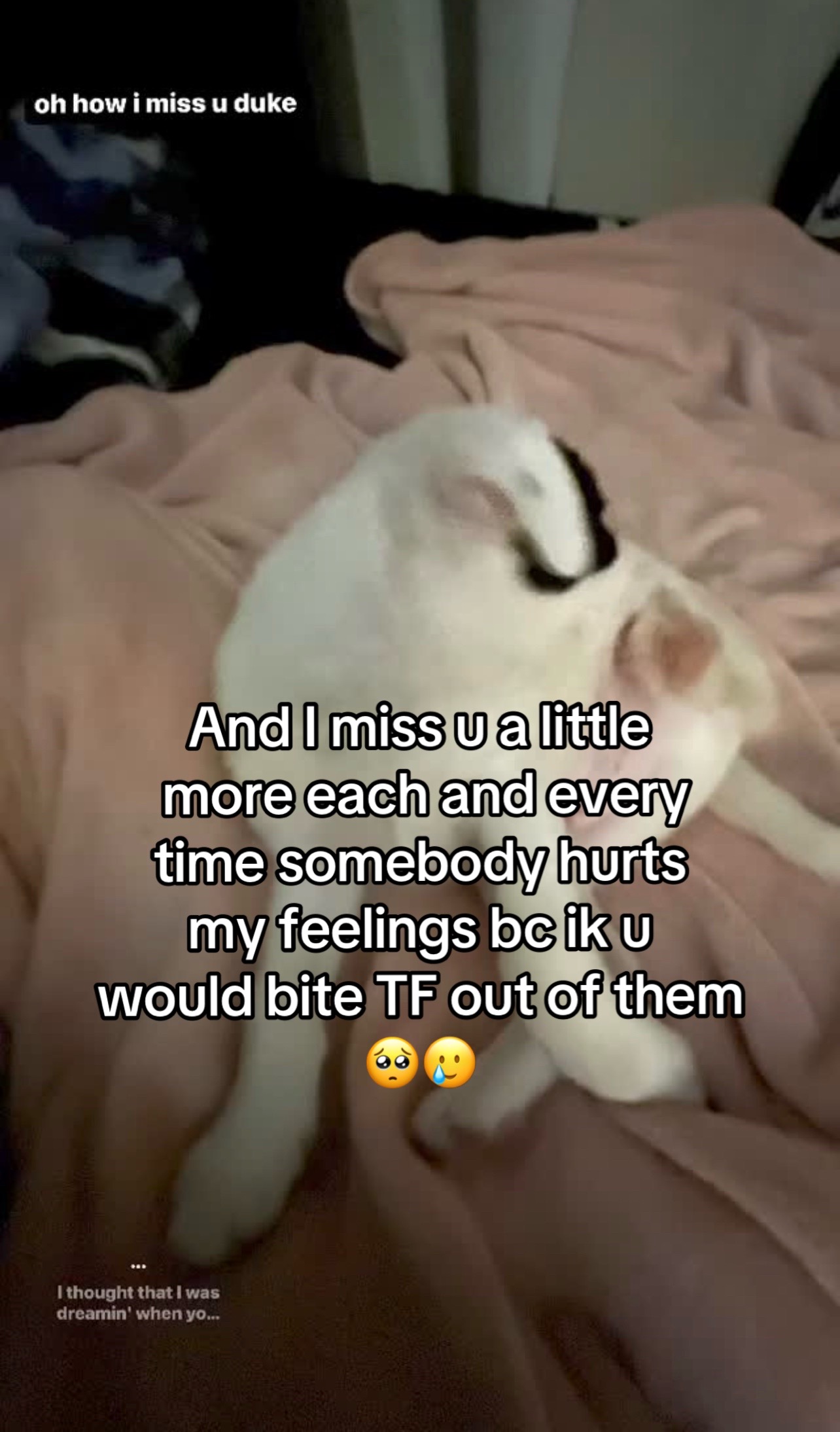 @Stopfindingmypage