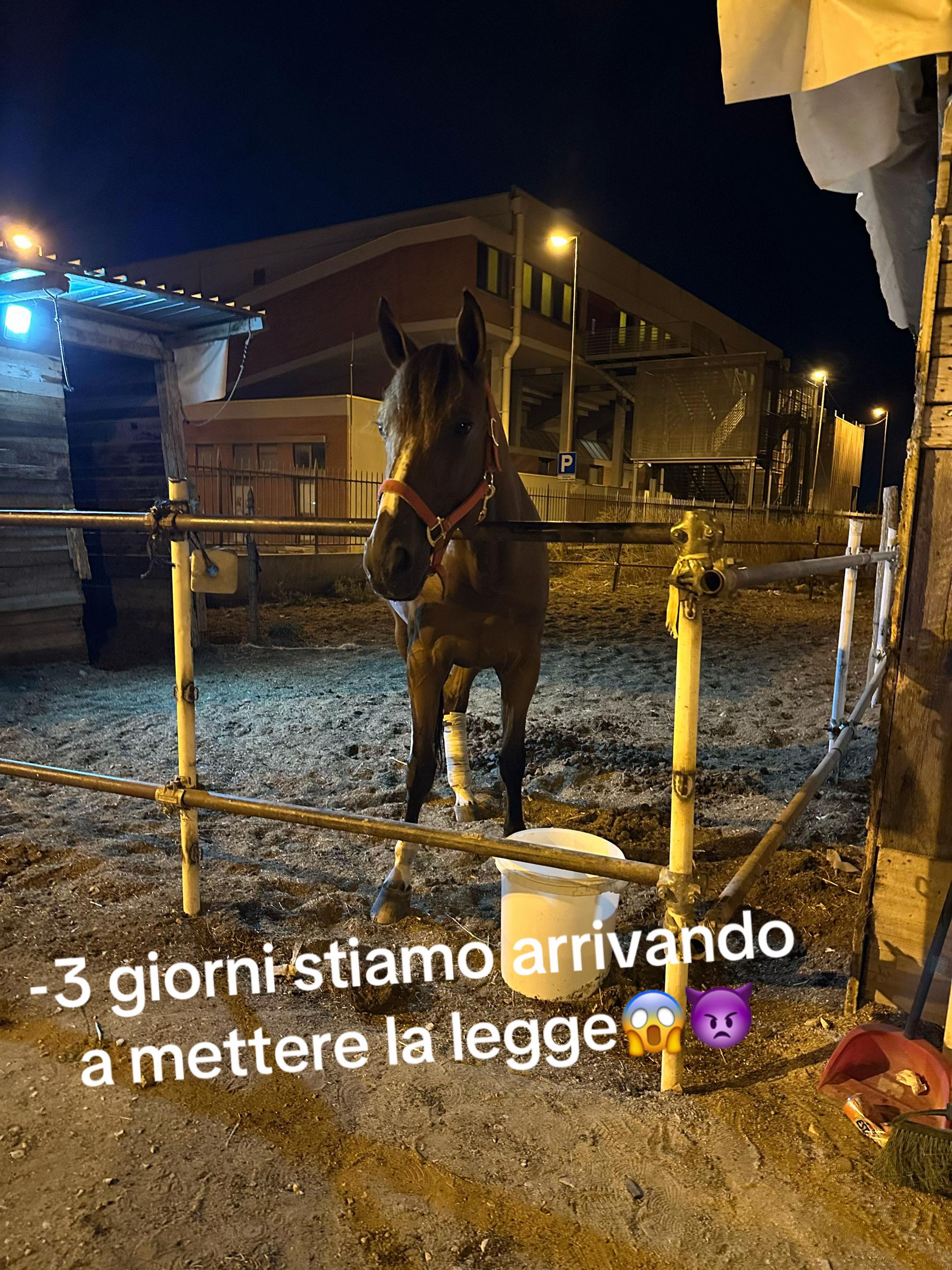 @Sconosciuto6.12