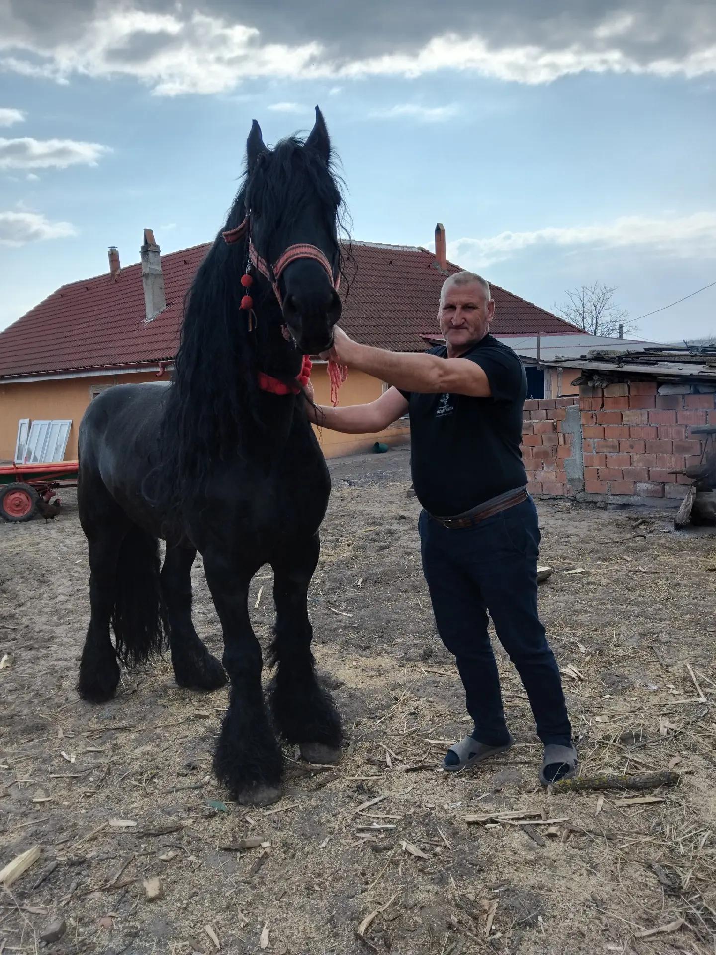 @Vlase179