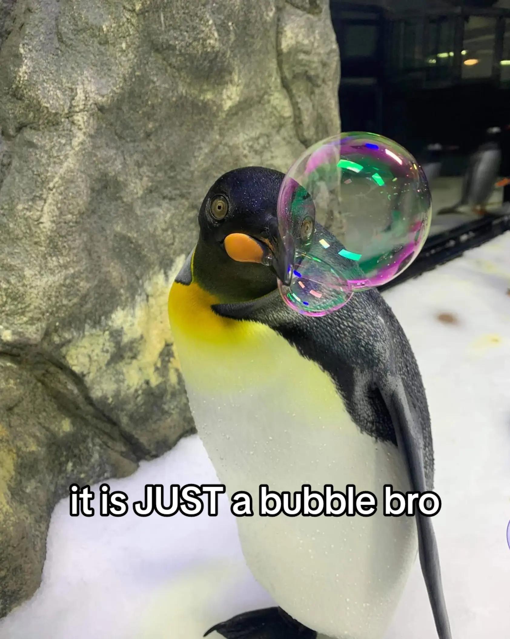 @Mumble but 𝓯𝓻𝓮𝓪𝓴𝔂