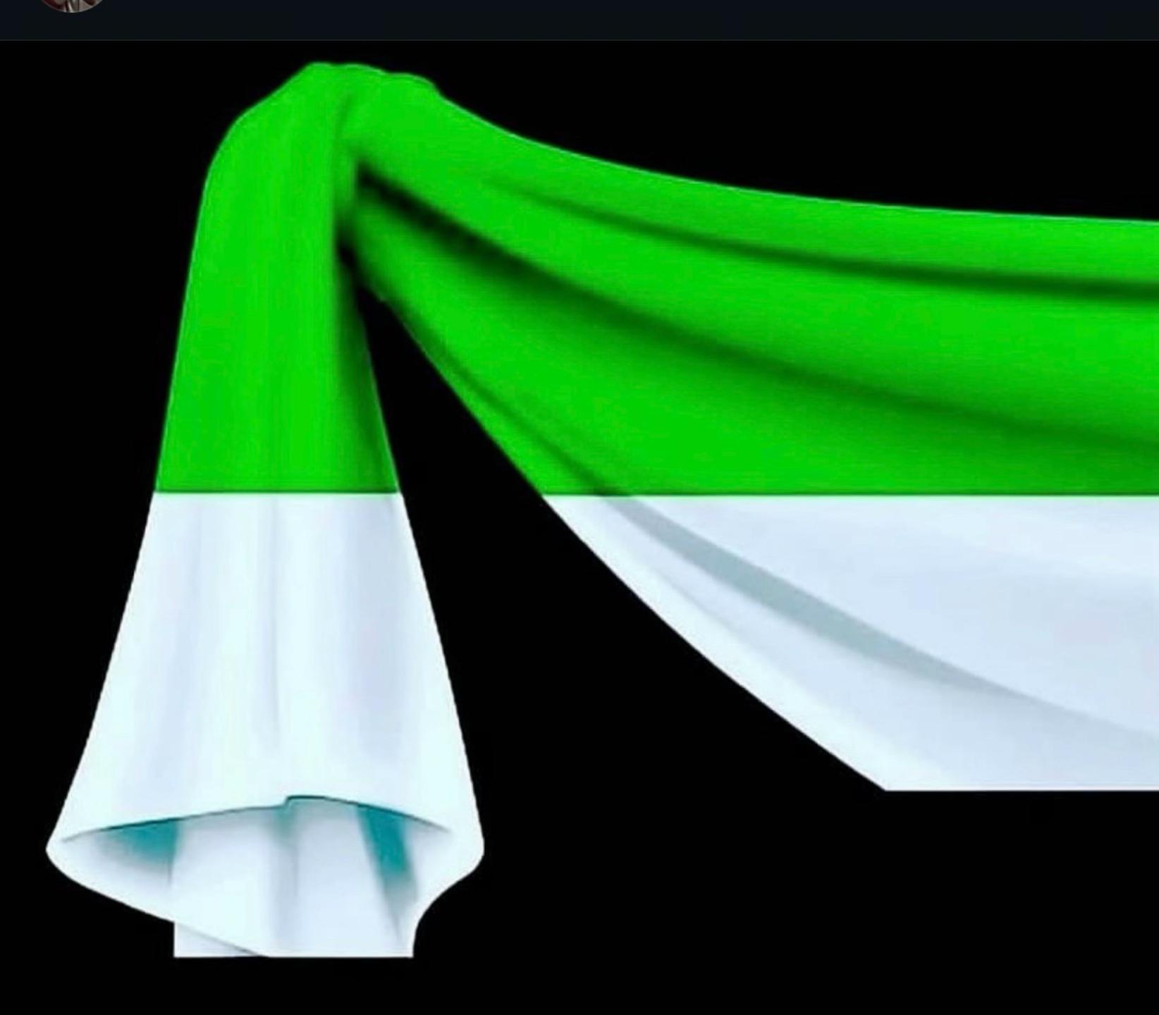 @𝚃𝚊𝚓𝚒𝚔_💚🤍🖤