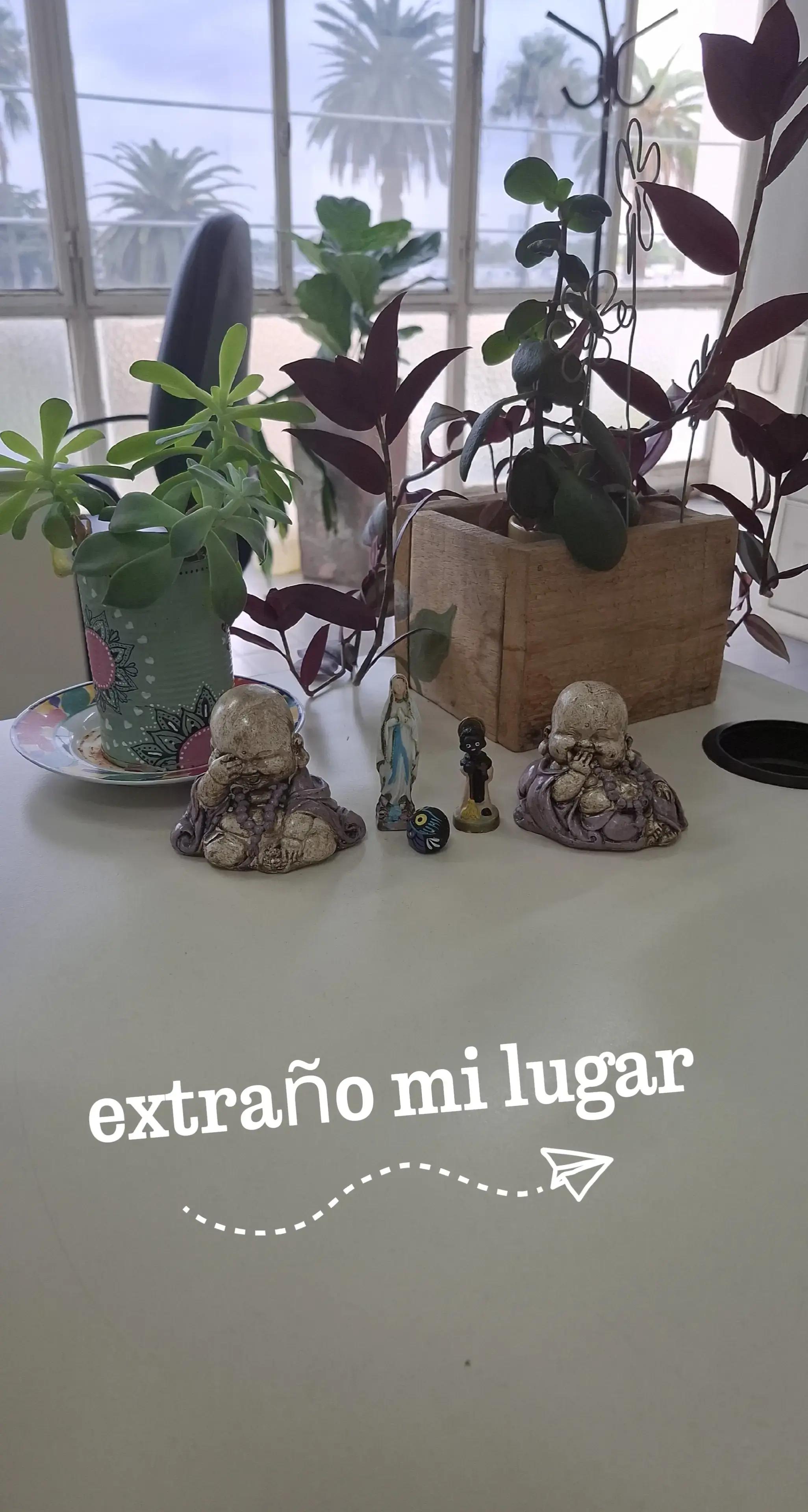@Viviana Calabrese