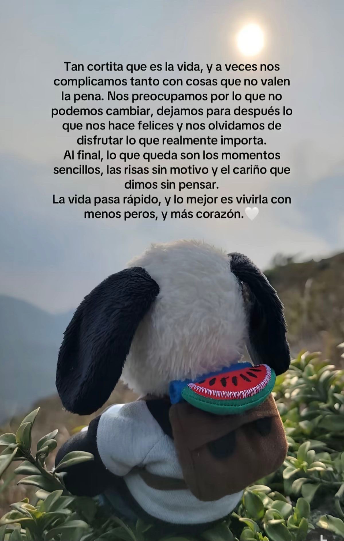 @are_Amaro17