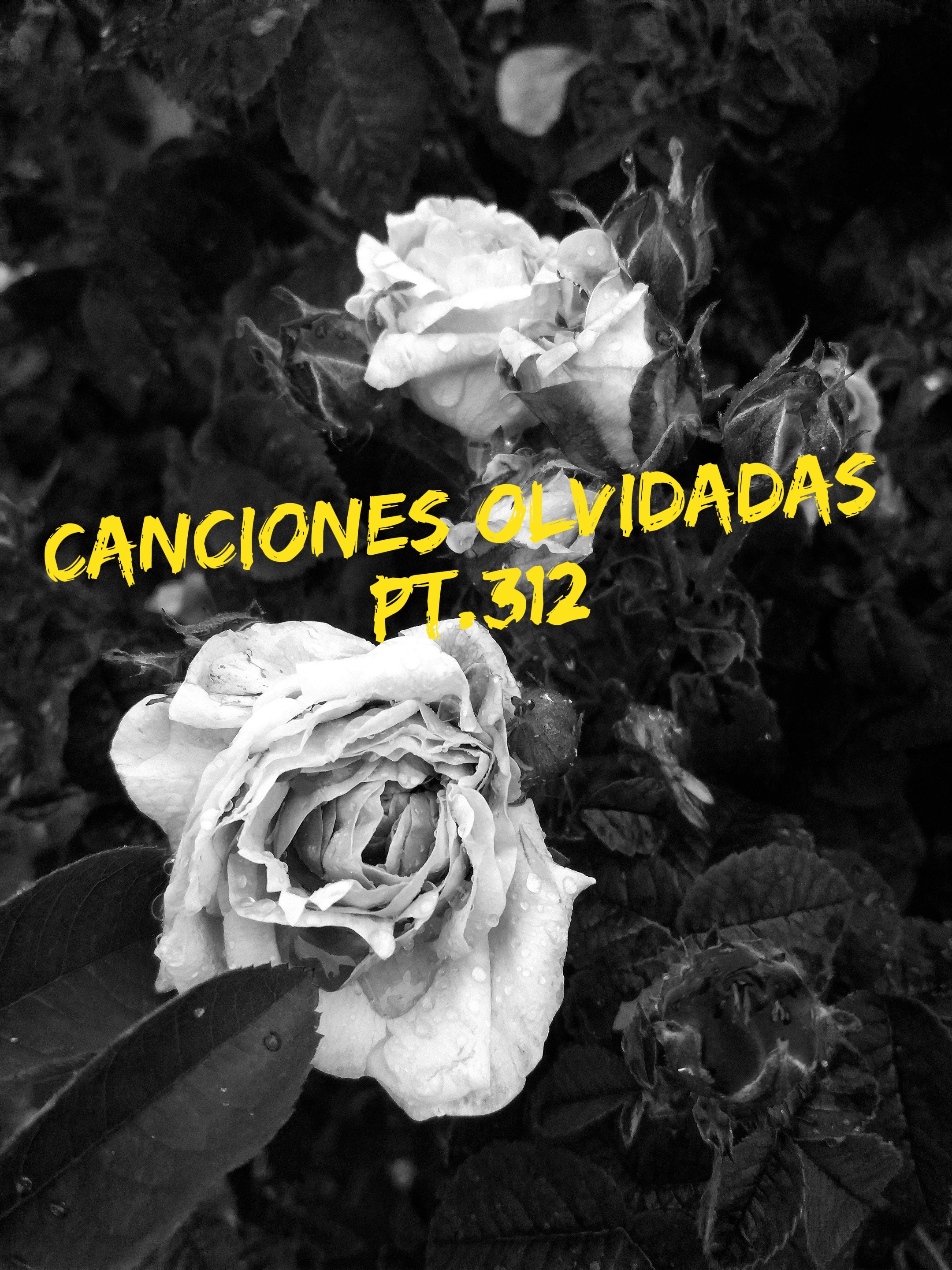 @TUDJJD