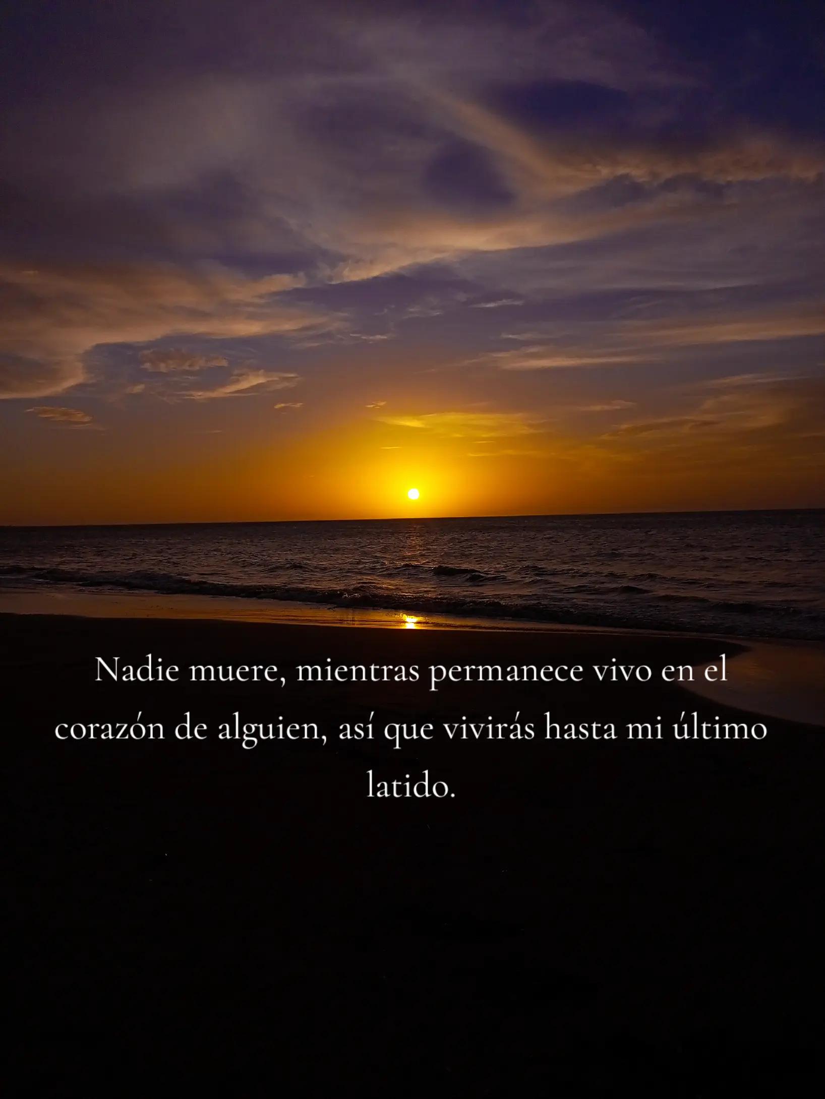@Wilfredo Caro