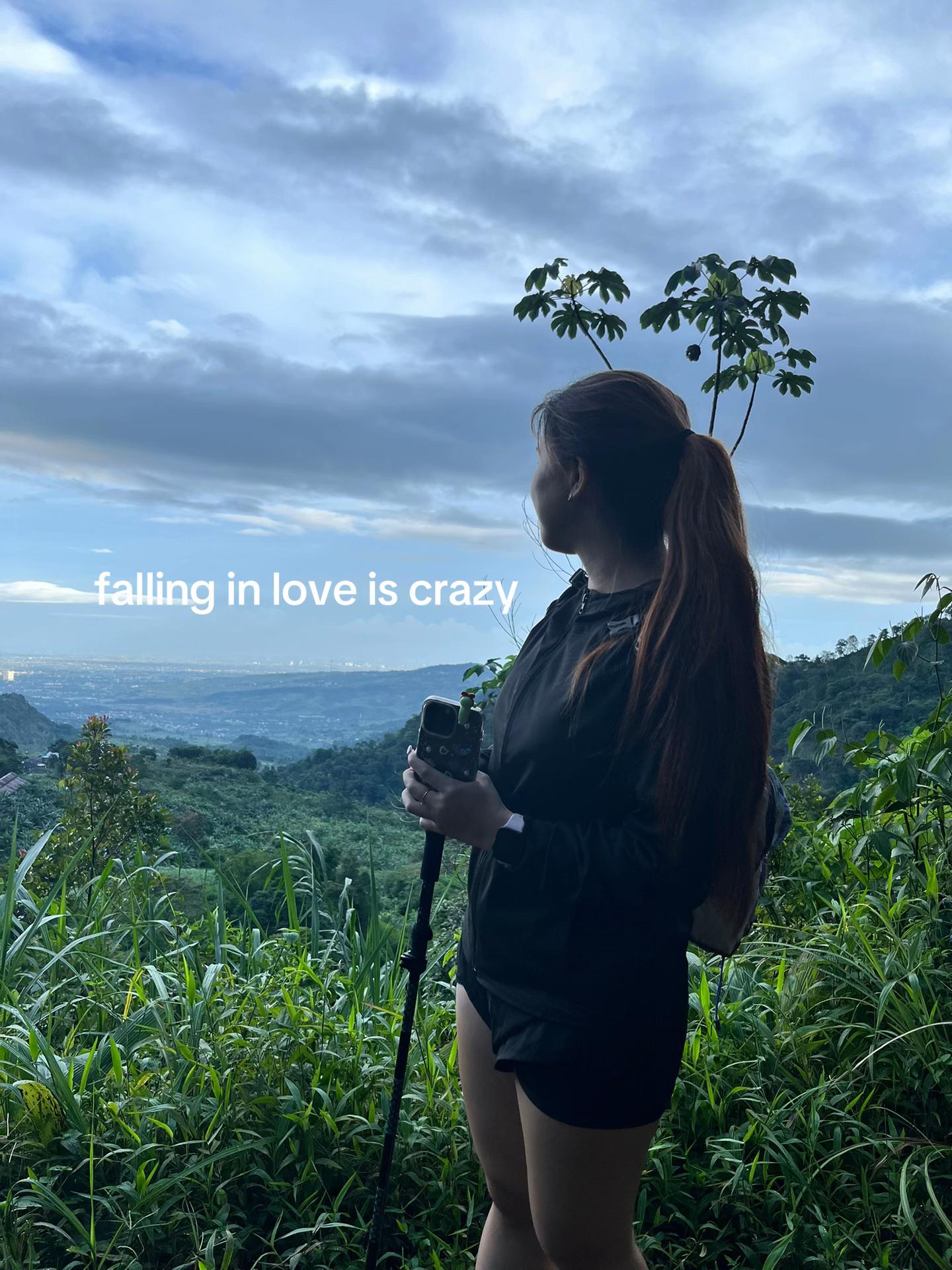 @chelink
