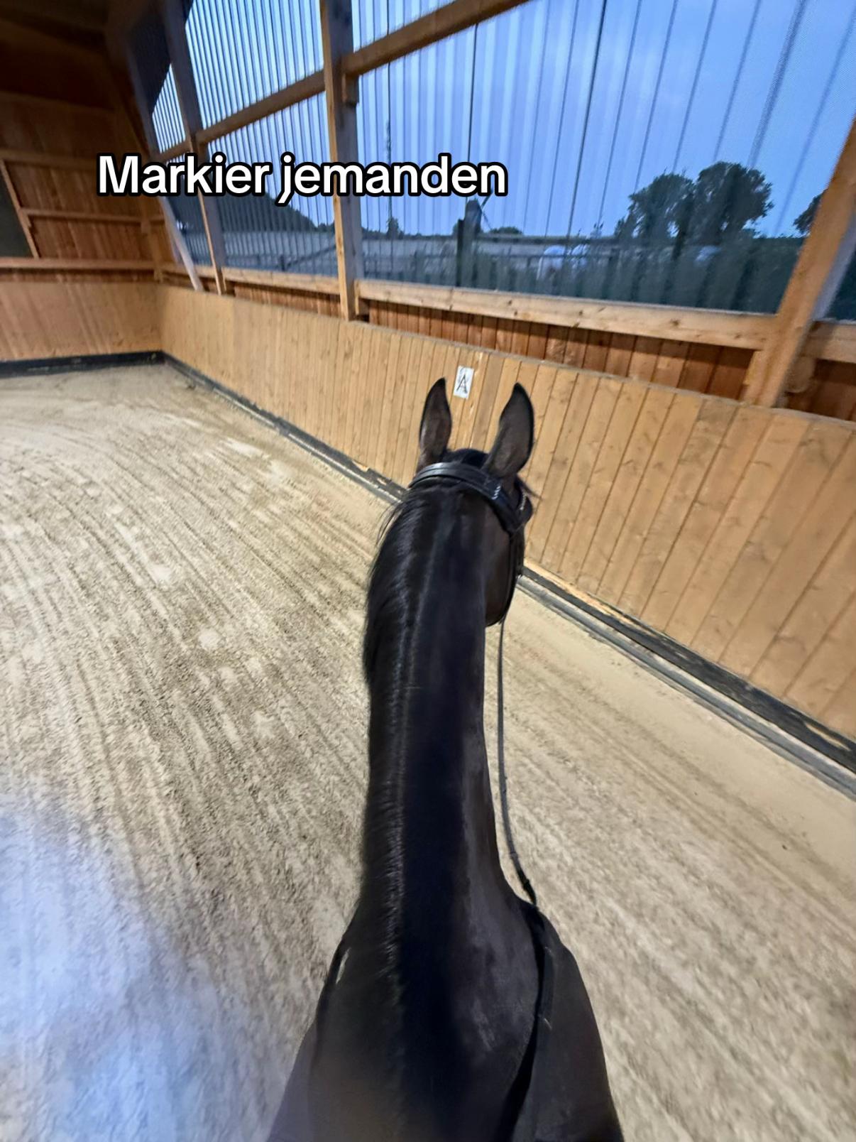 @Anna Charlotte Ostermann