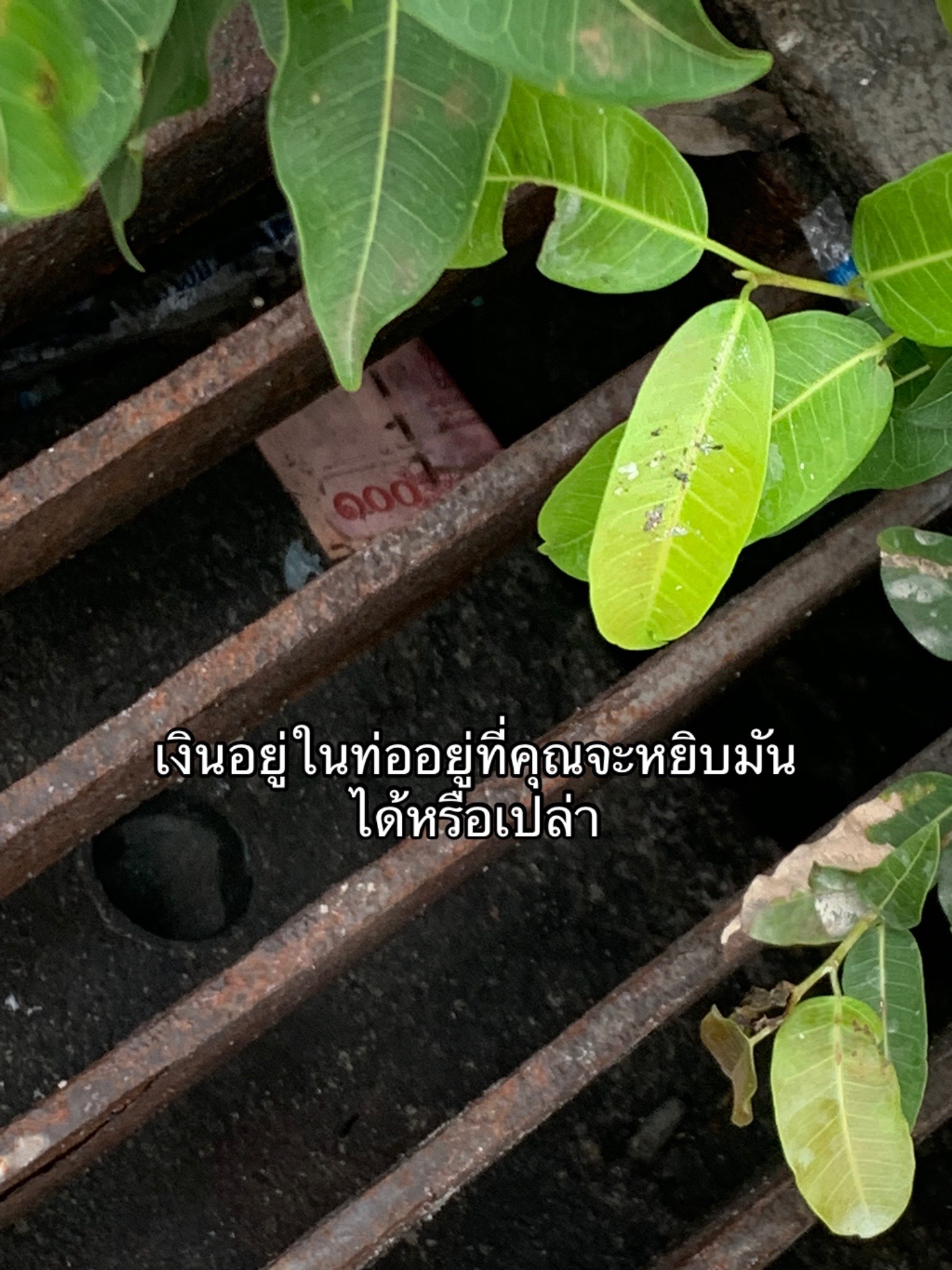 @หญิงกี้.🦋