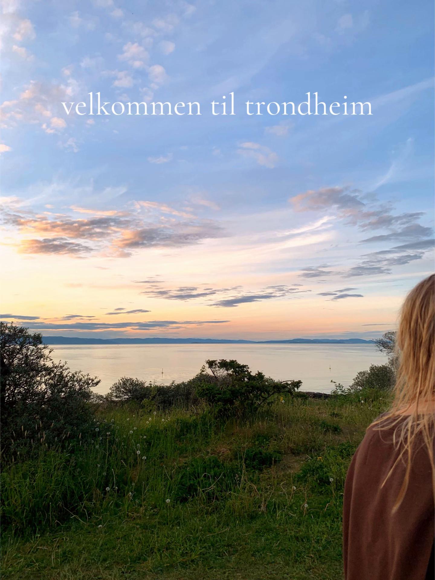 @Barnehagelærerstudenten