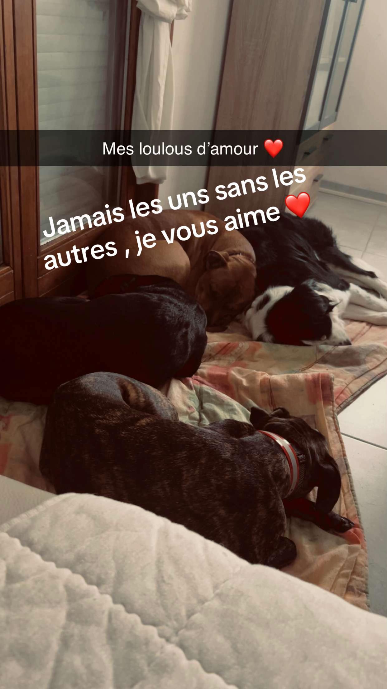 @Kathalina 🏳️&zwj;🌈