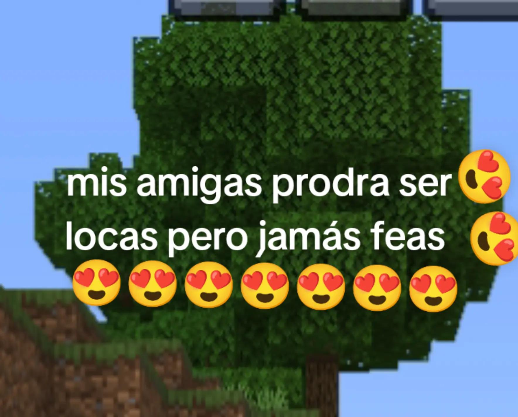 @Noelia Escoto