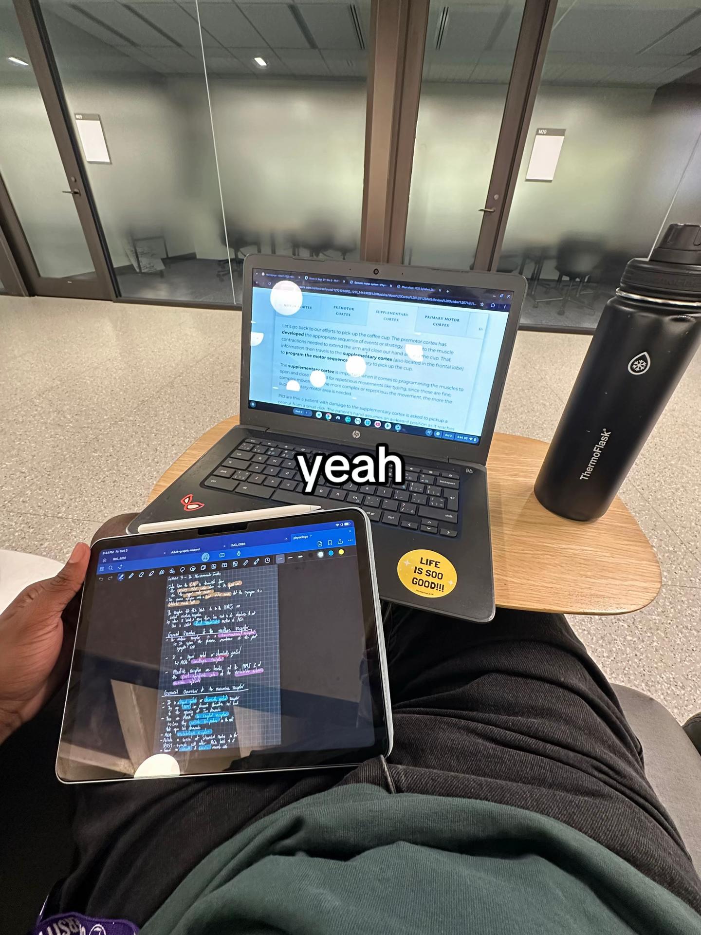 @zeedybobeedy