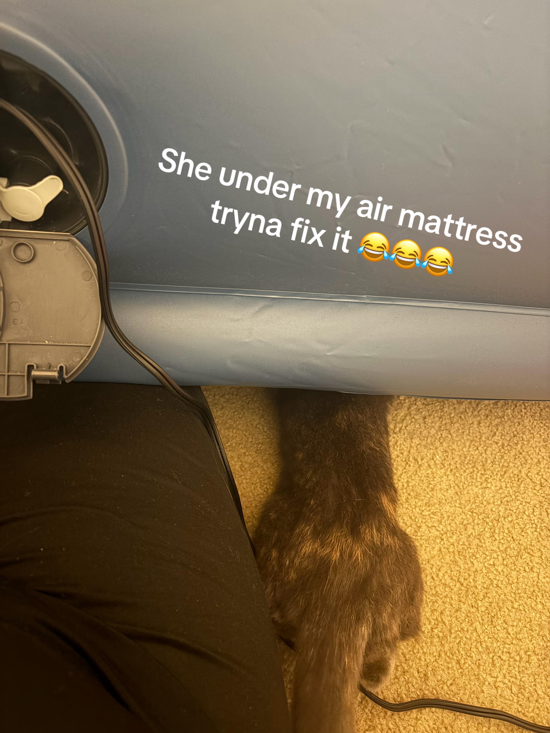 @𐙚 ɳ&alpha;รเ&alpha; 𐙚