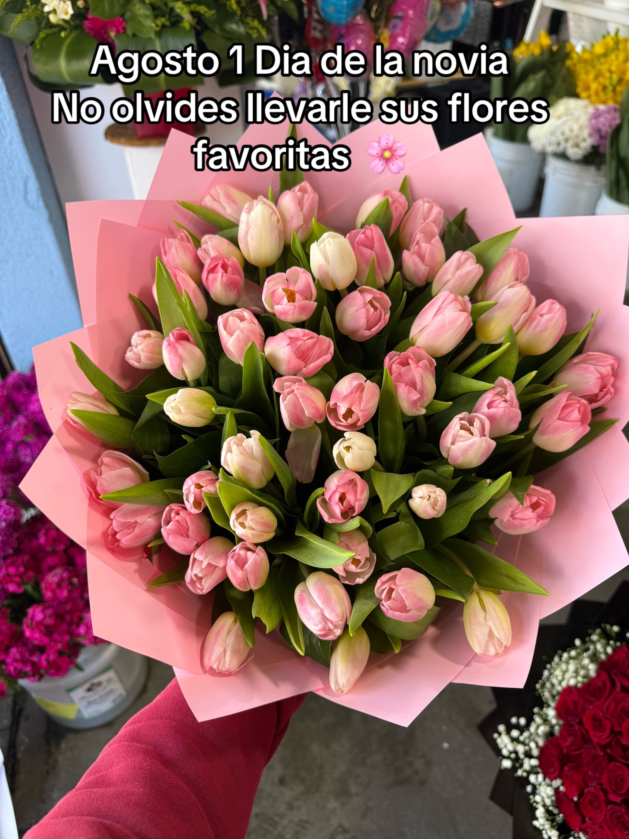 @Clari Velasquez ☘️🌹🌻🍒