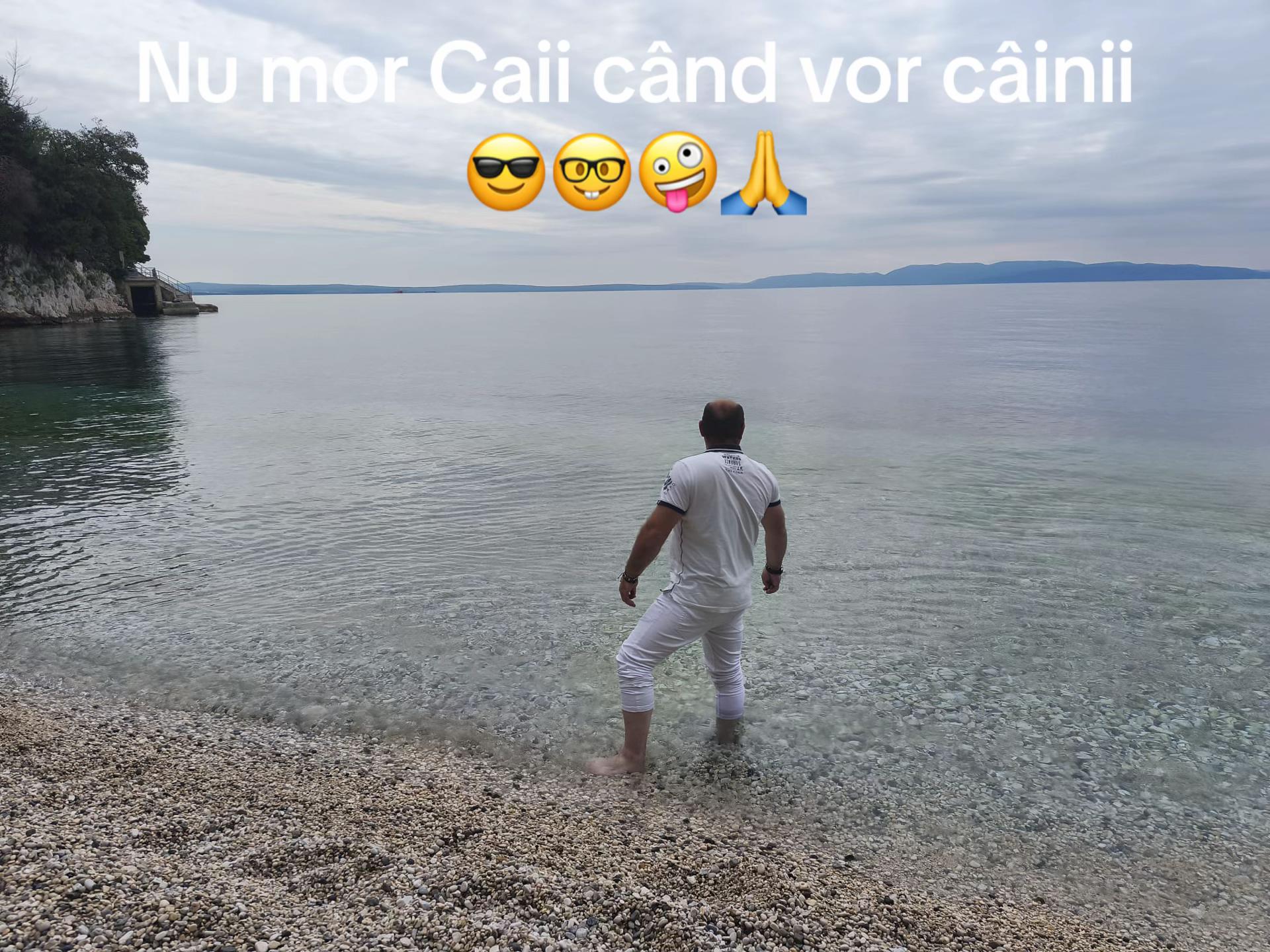 @mitza1788mitza