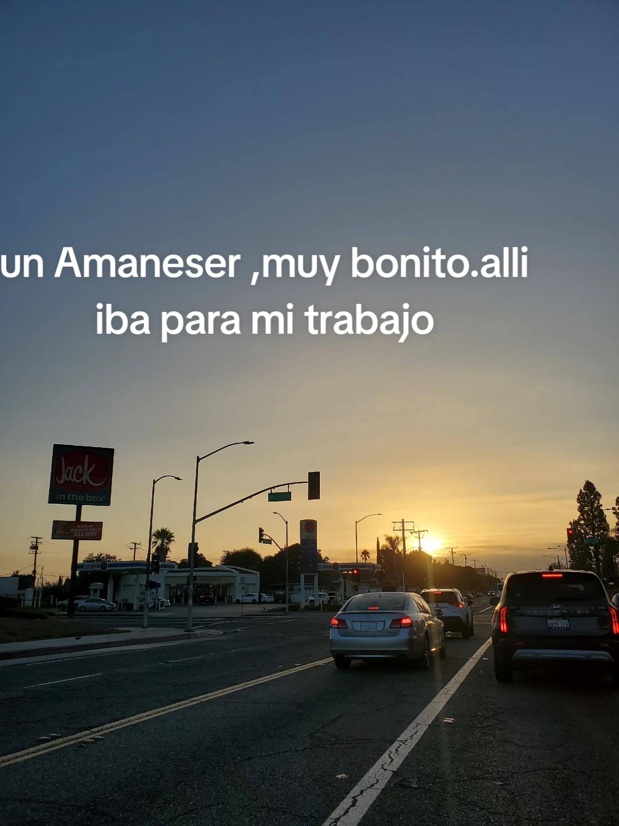 @latiarosa68