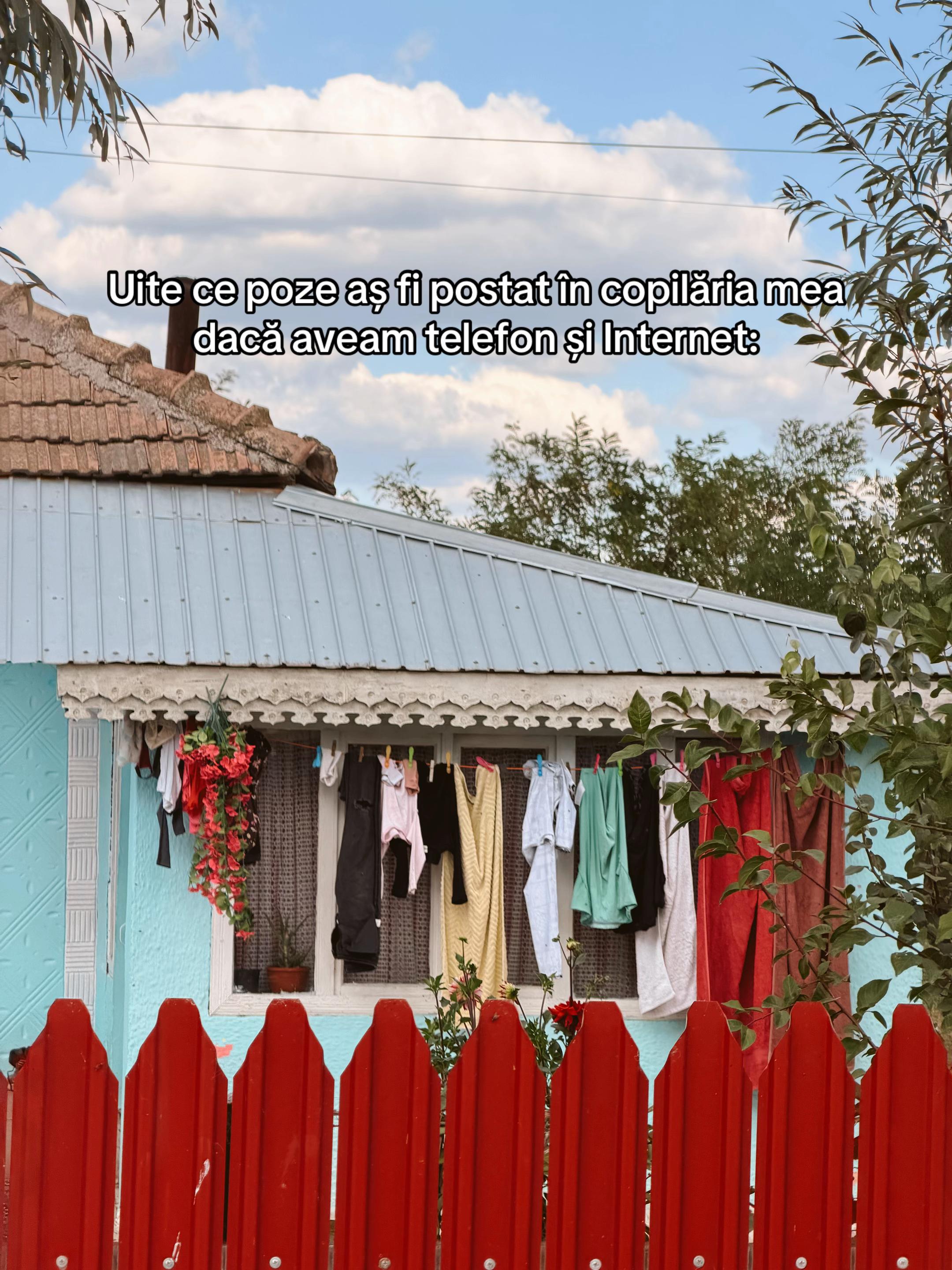 @Alexa Todică