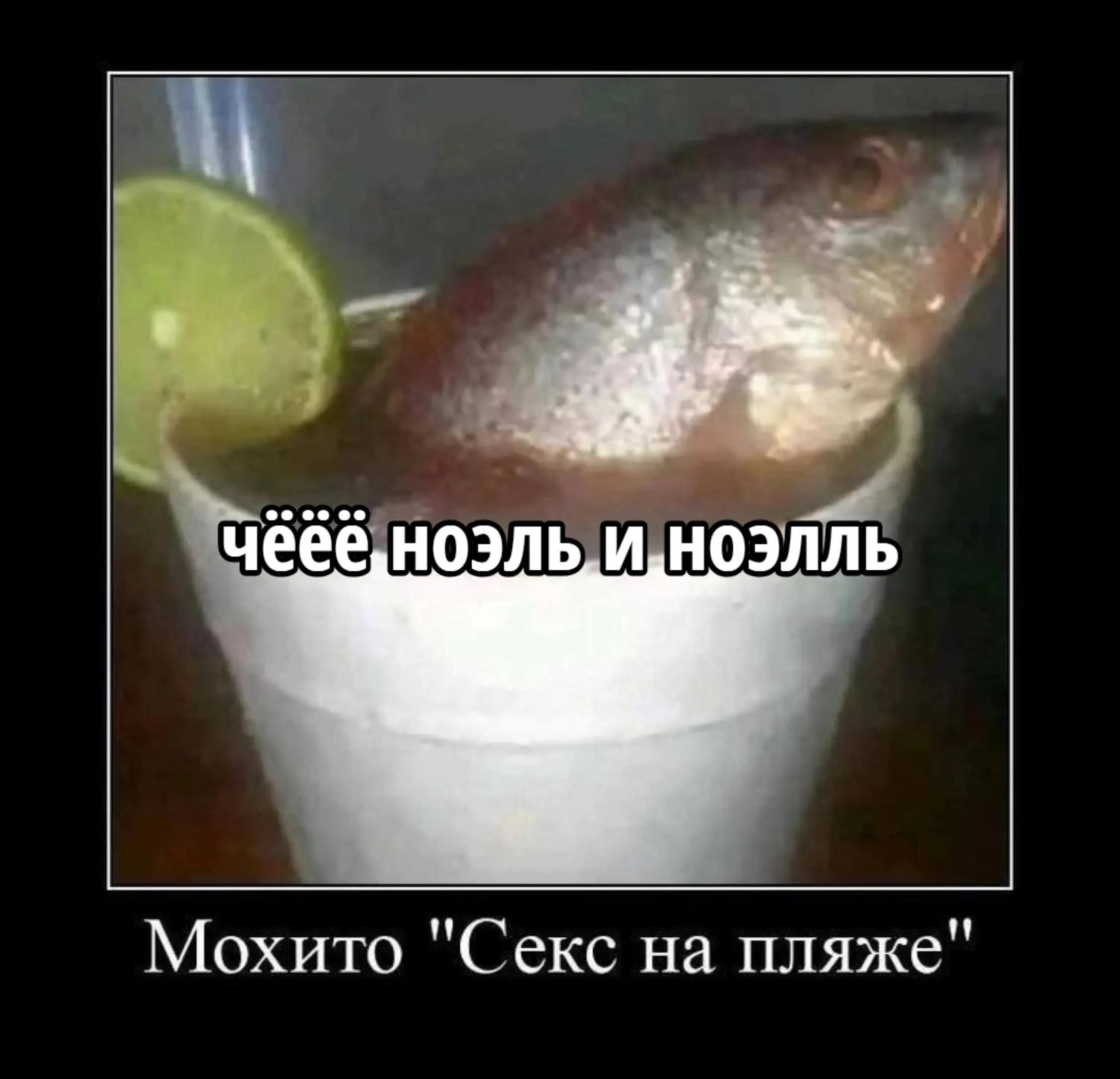 @⦻squeezen¡!
