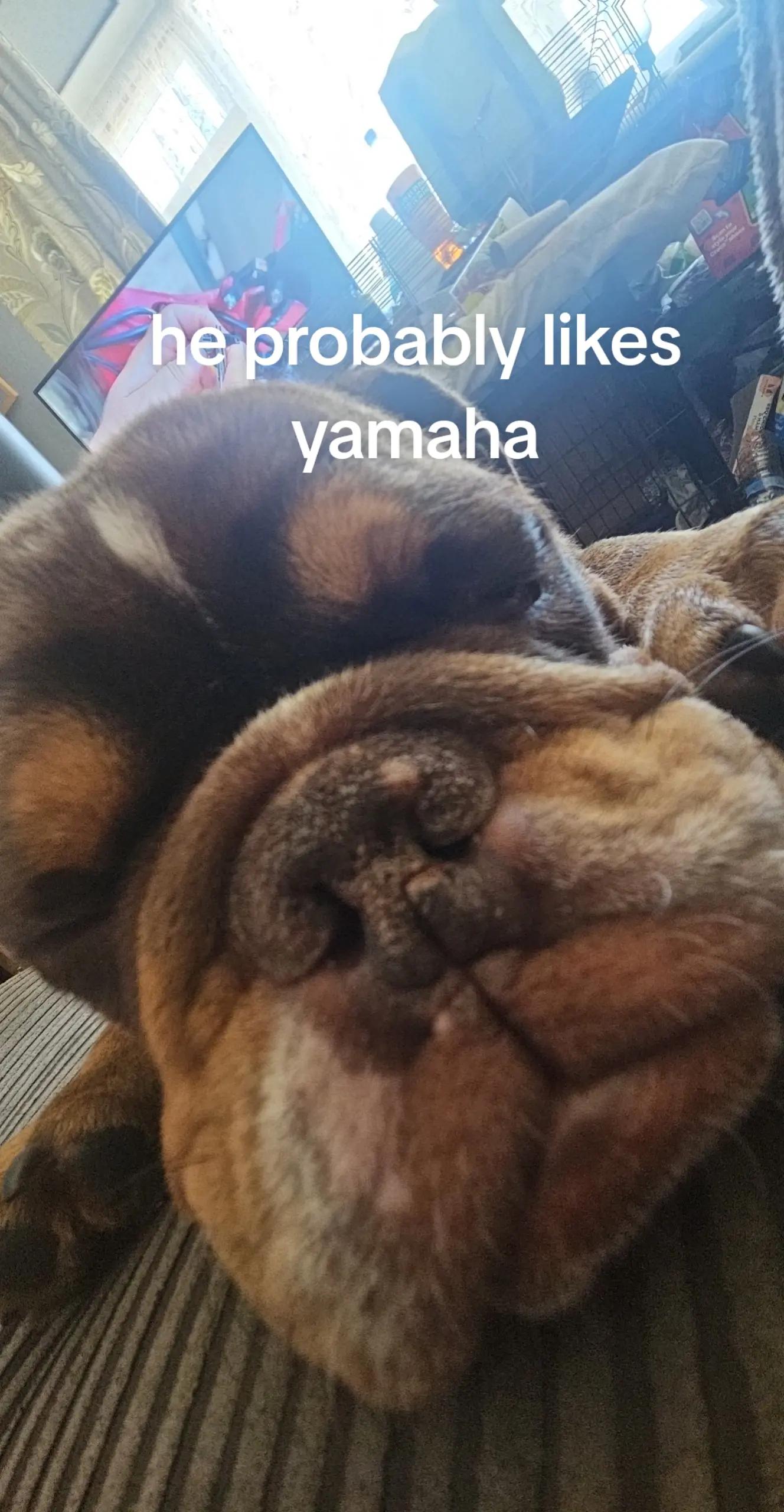 @꒷꒦꒷꒦꒷꒦꒷꒦꒷꒦