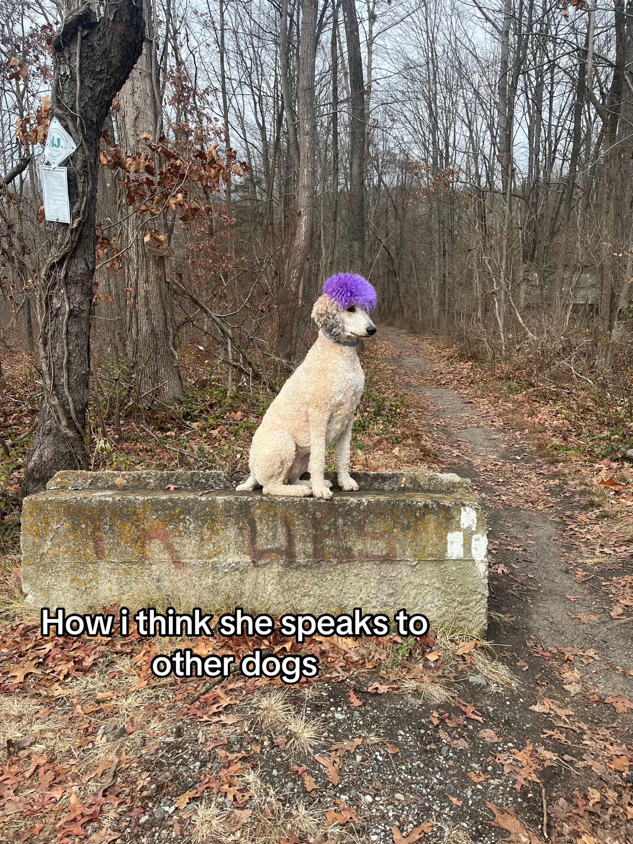 @🎭