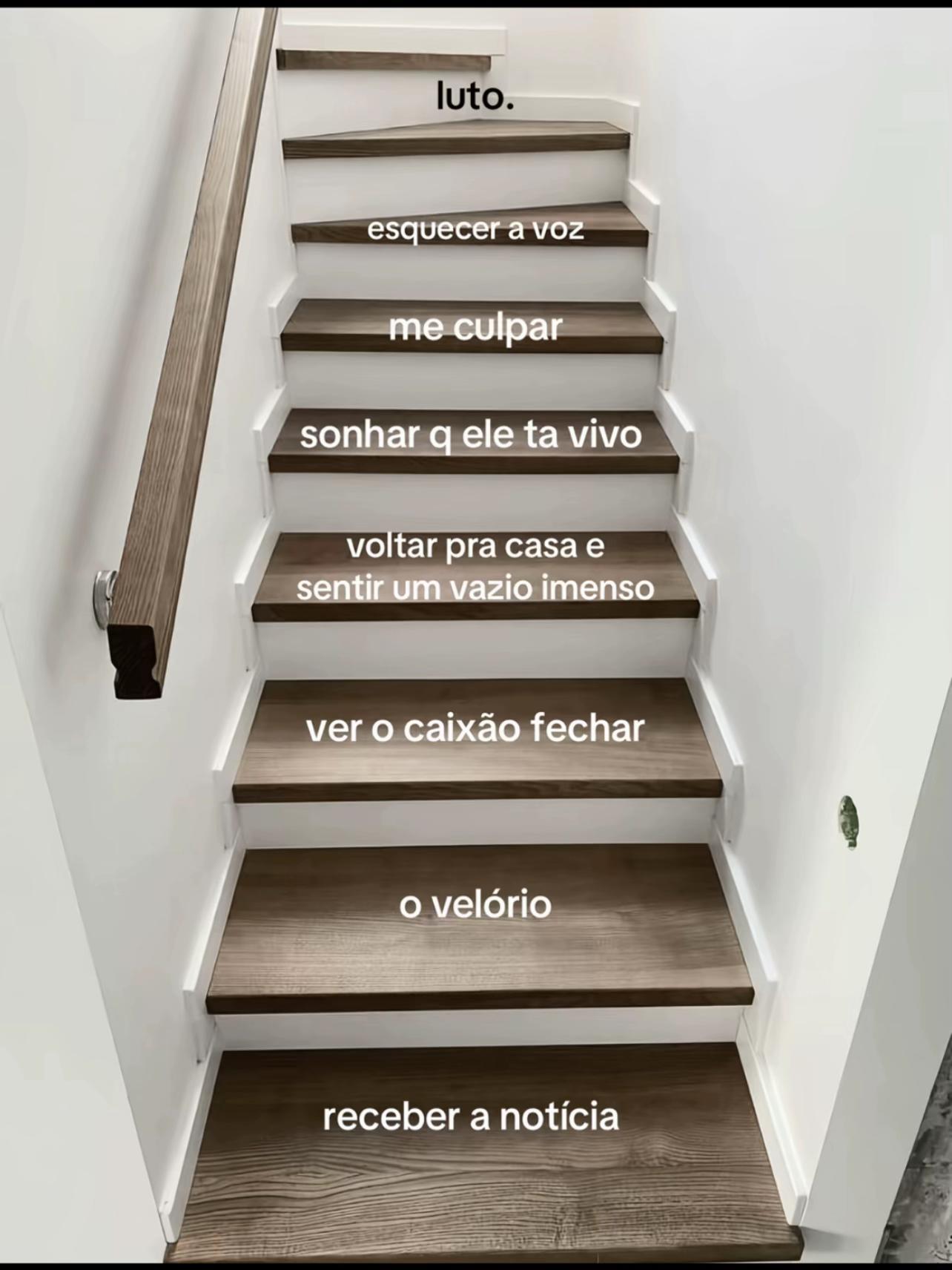 @Carol Dias4823