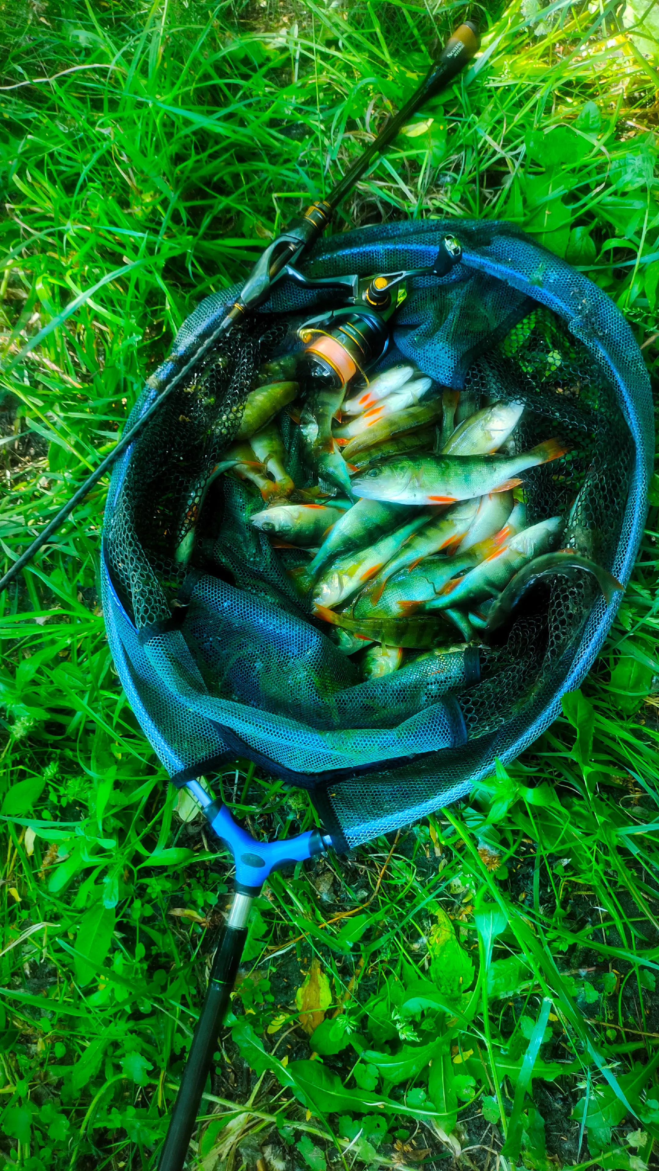 @hot_baits