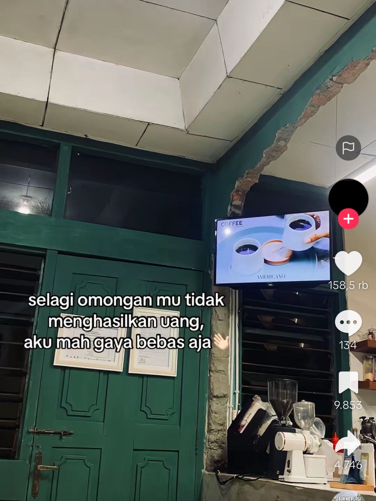 @ini.vivii