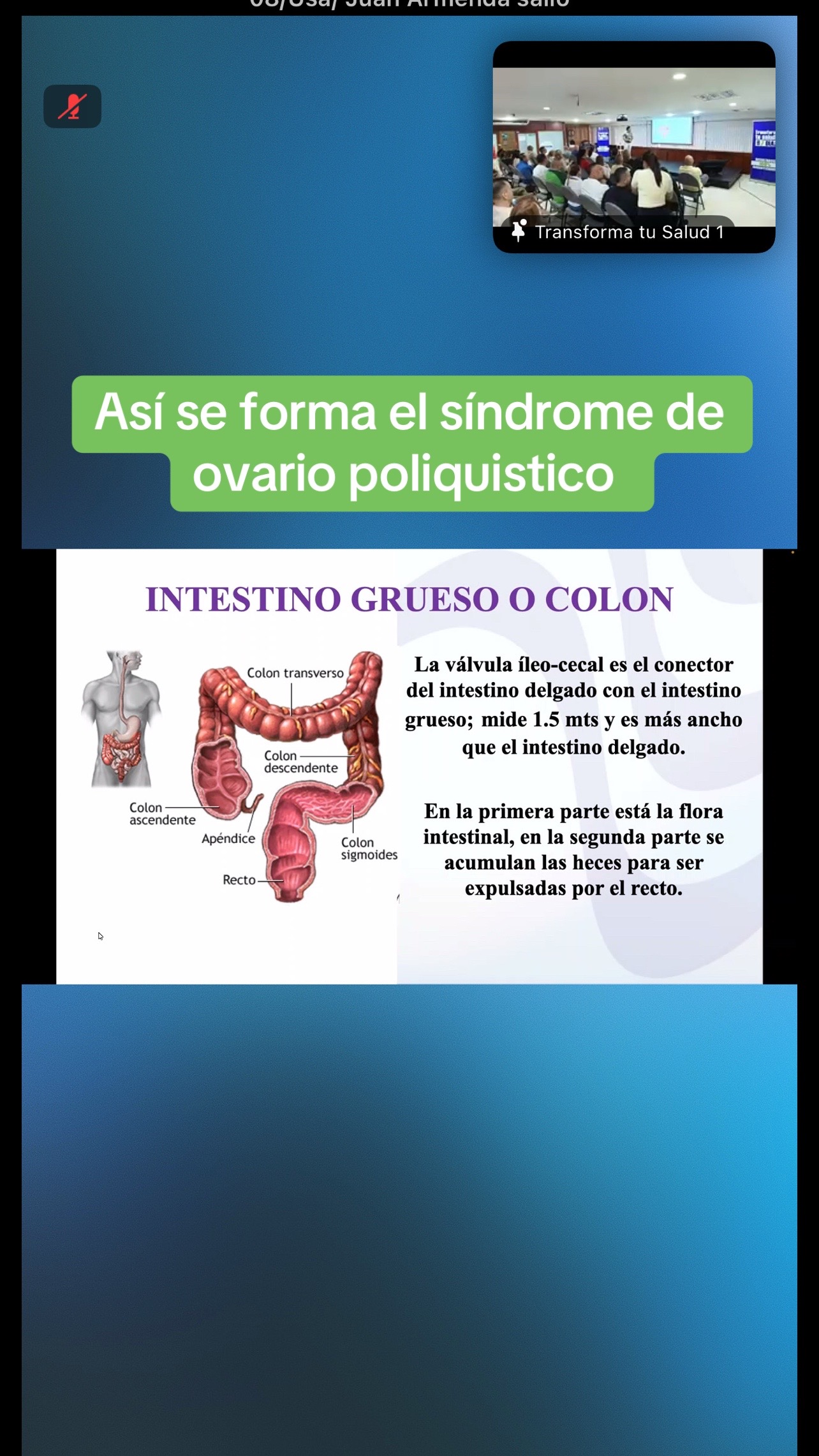 @Maria Jiménez salud$Bienestar