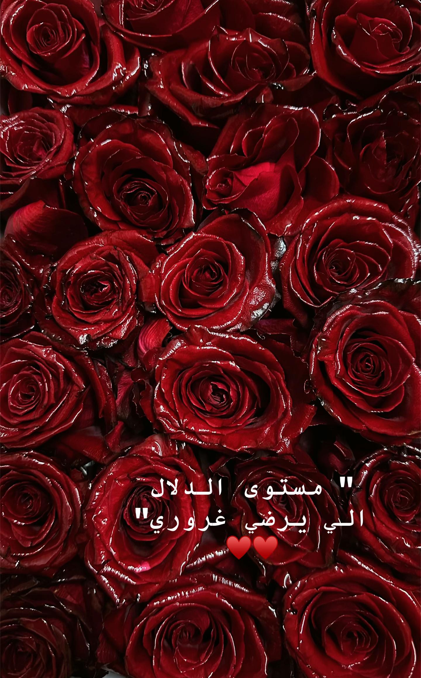 @ms.badi_77