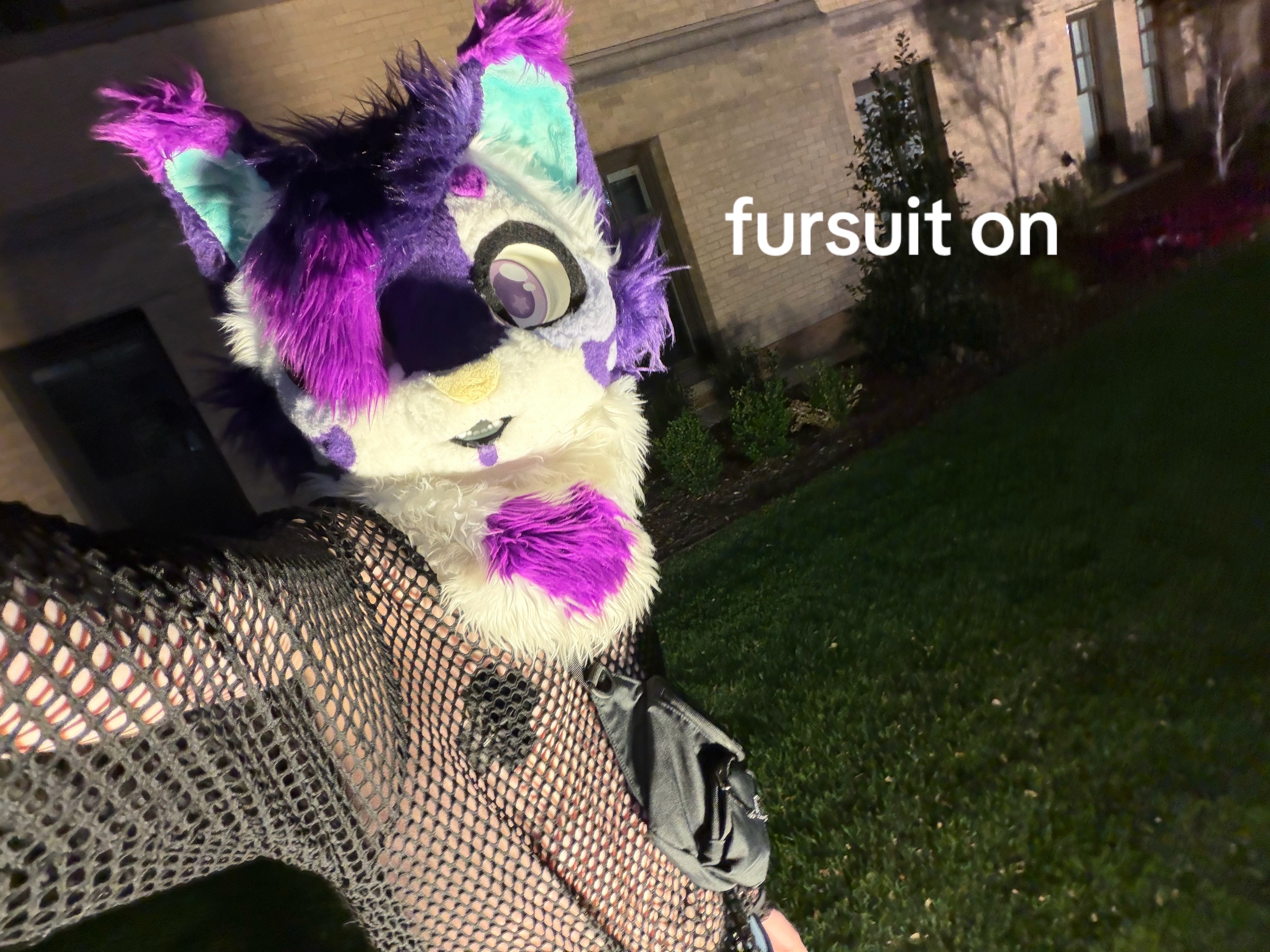 @Starlight @ FWA