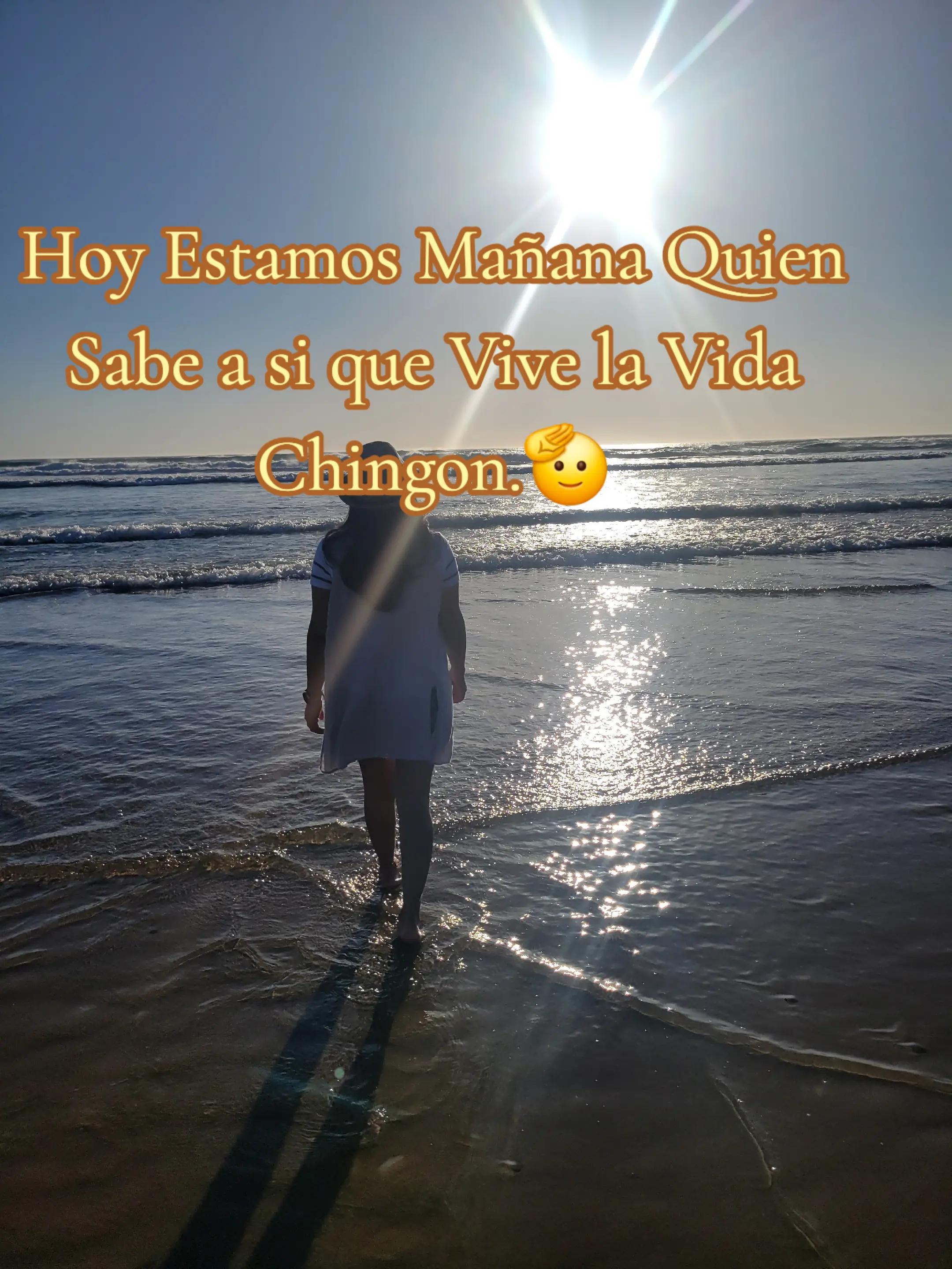 @✨️🌷Ďaľaƴ ✨️