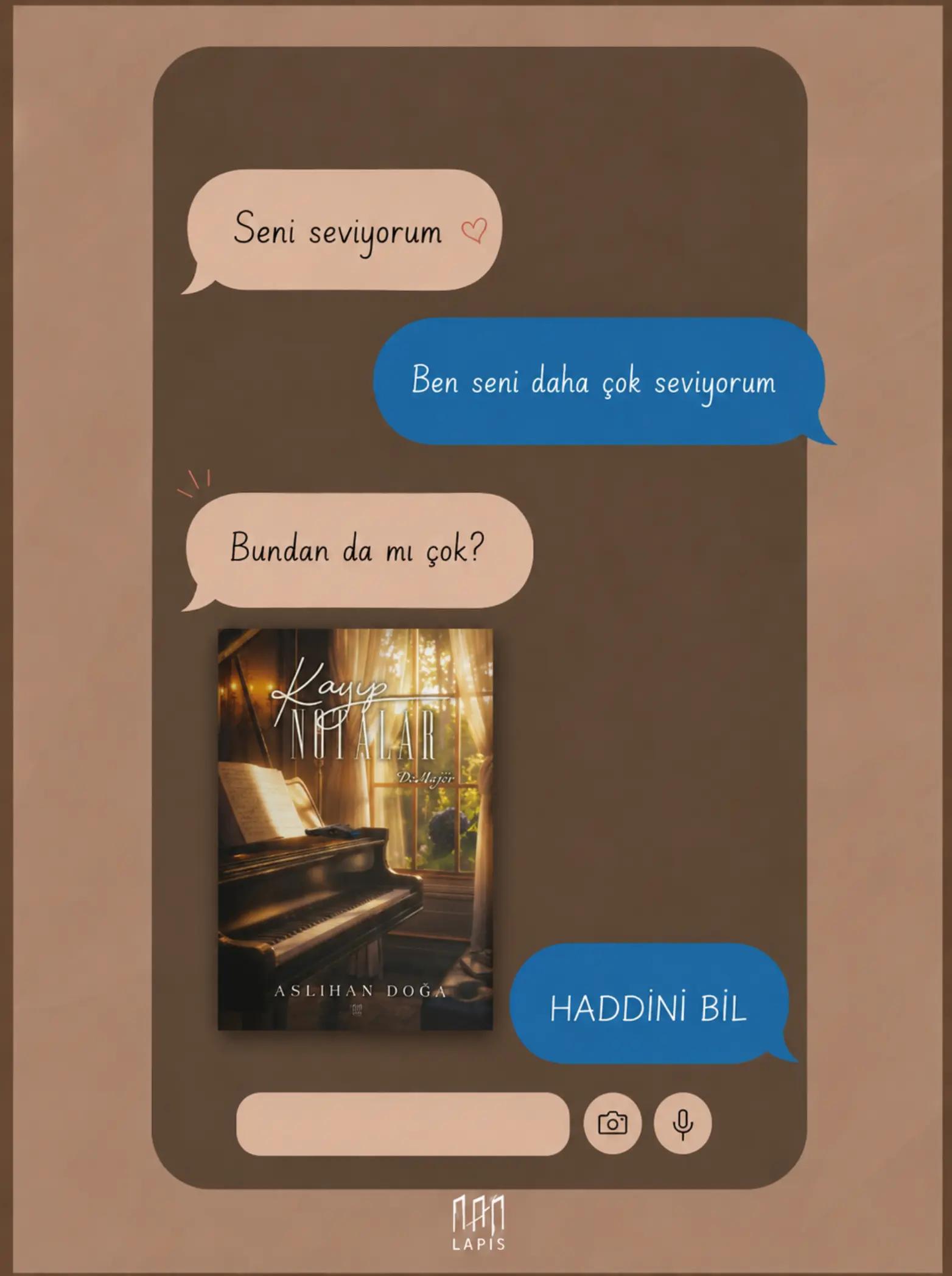 @LAPİS YAYINLARI