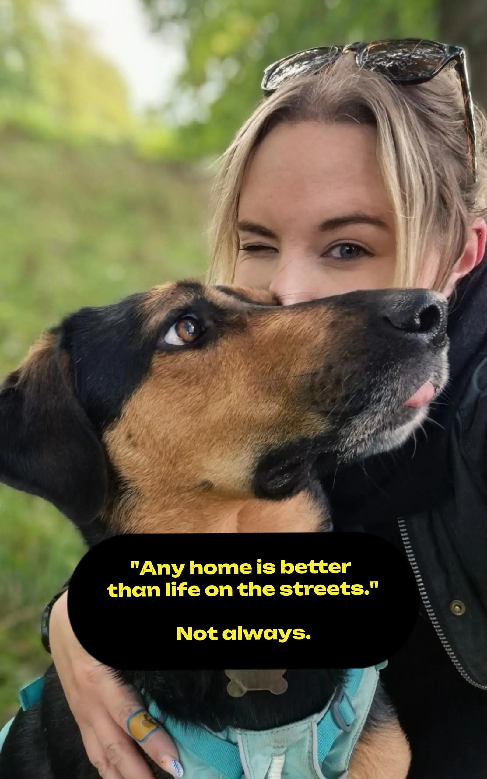 @Greek Animal Rescue