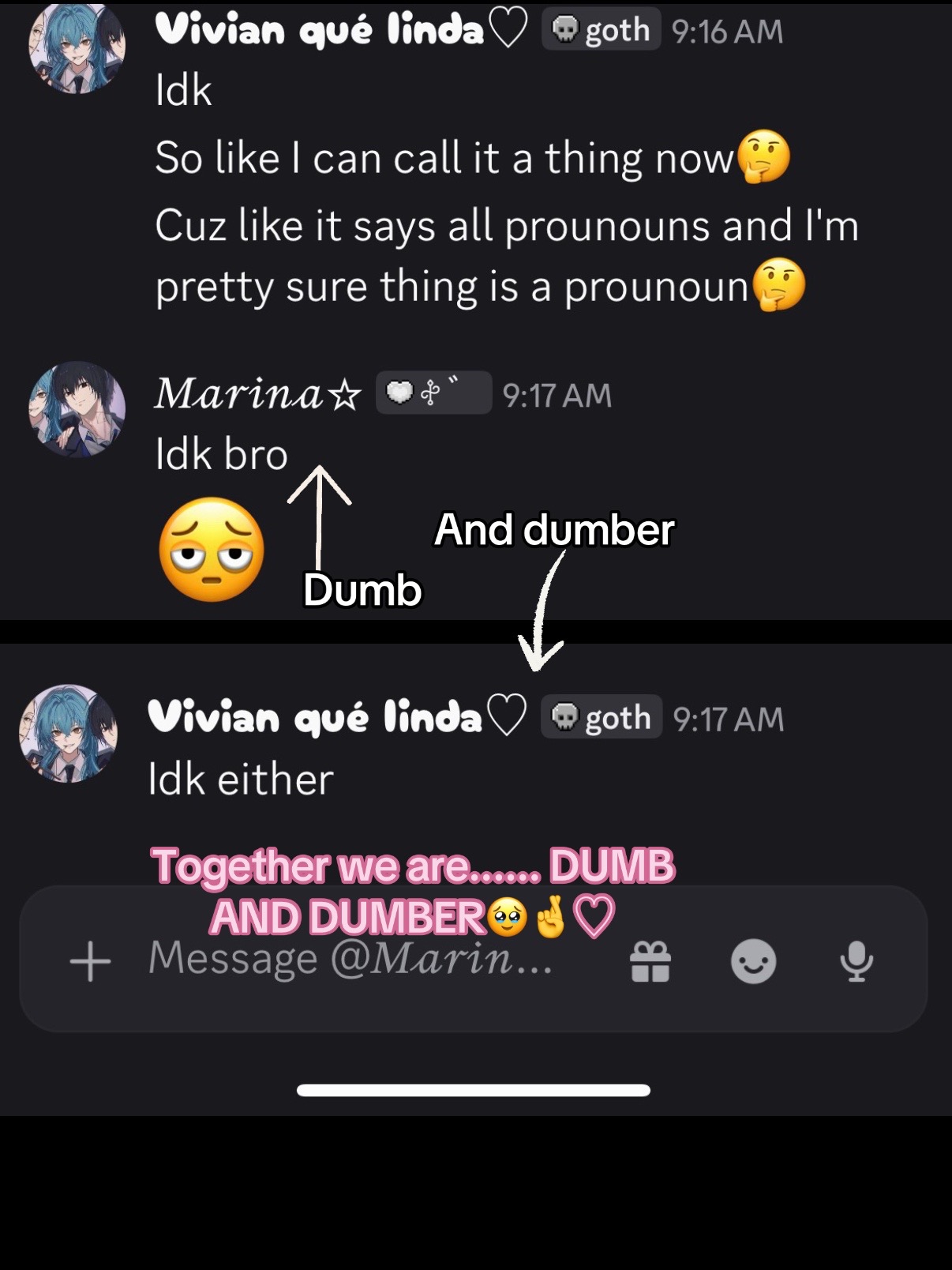 @VIVI THE CUTIE/ᐠ - ˕ -マ Ⳋ