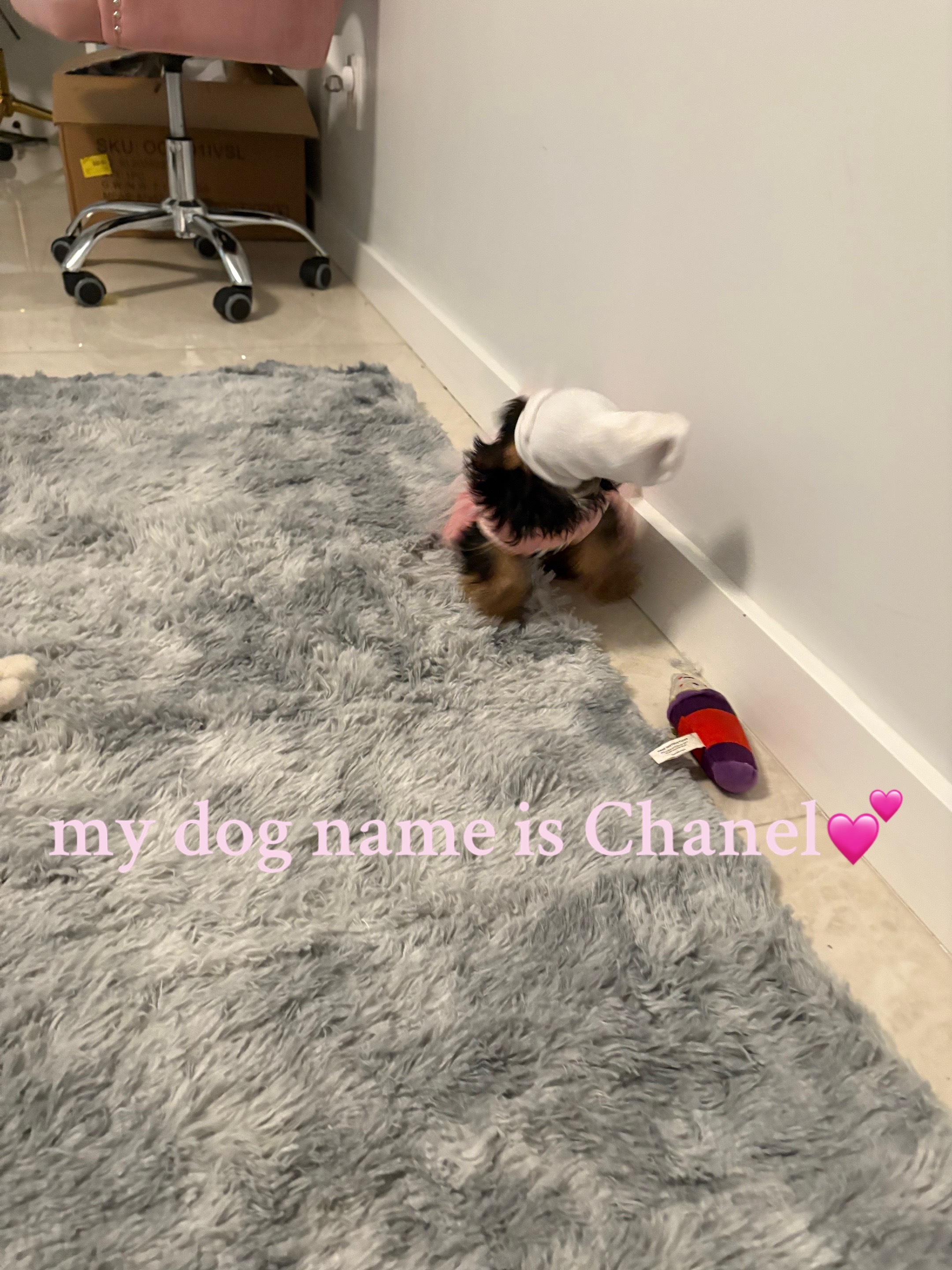 @nene💗.