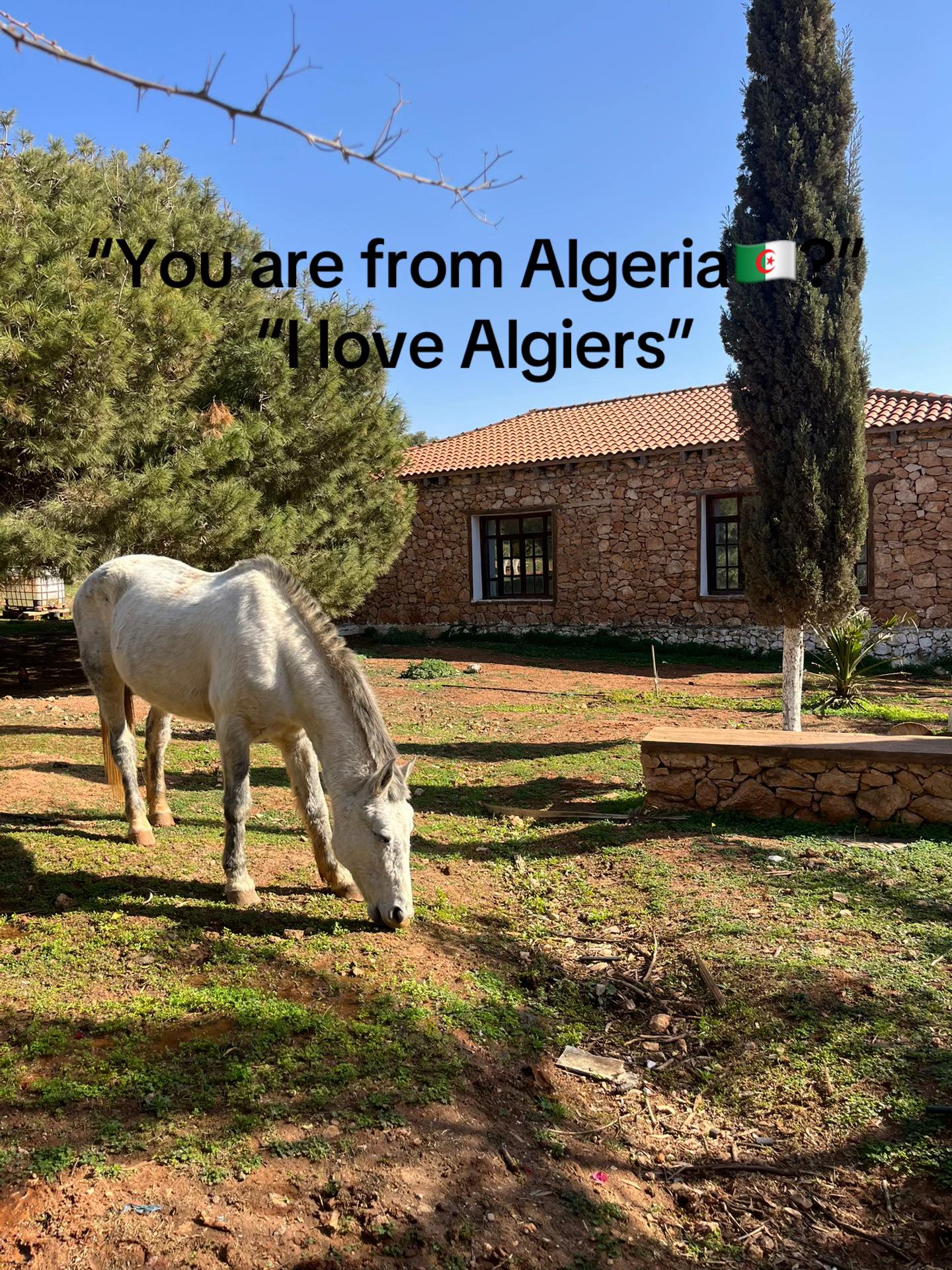 @Aya