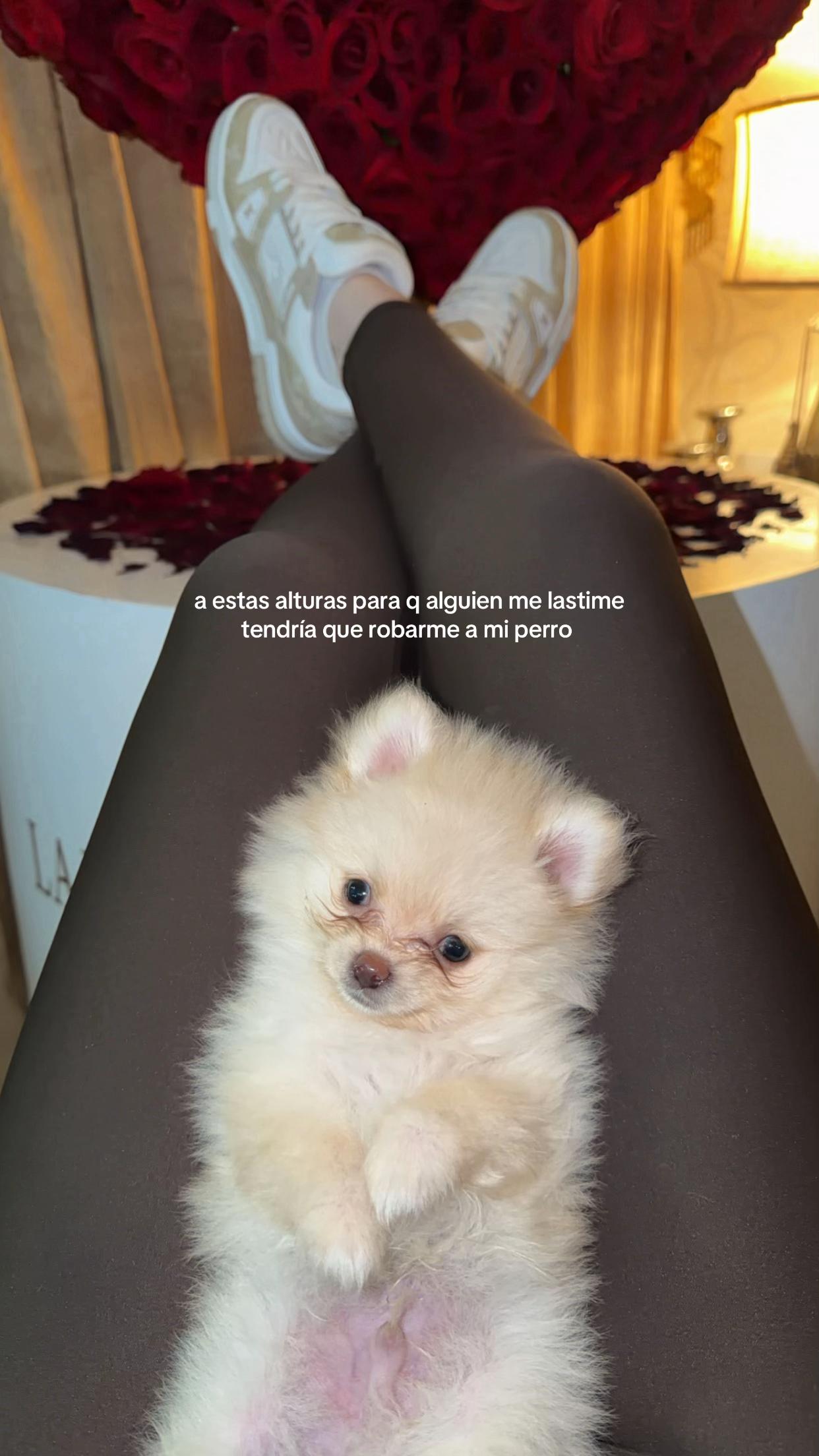 @miiapp__