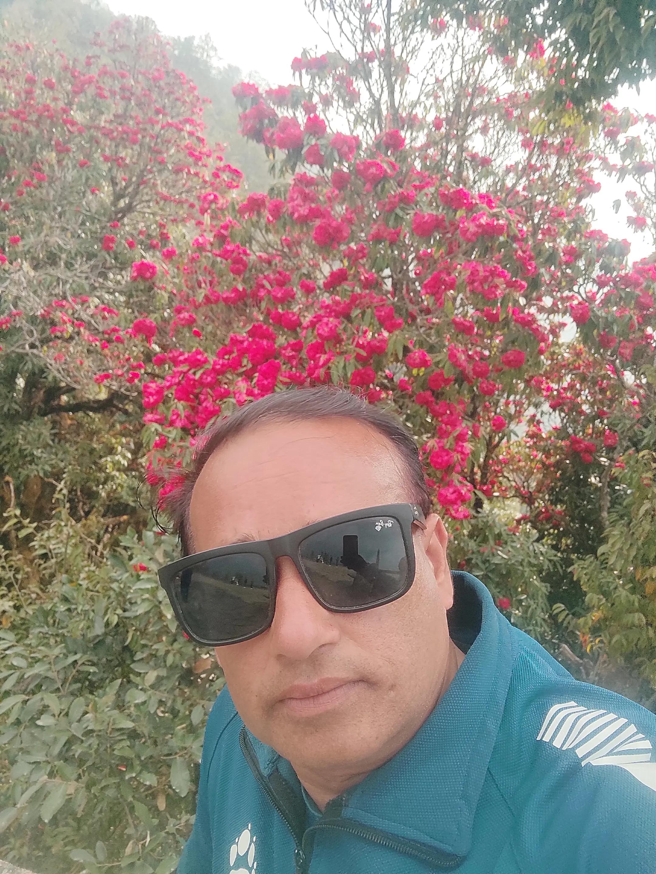 @Tank Pokhrel