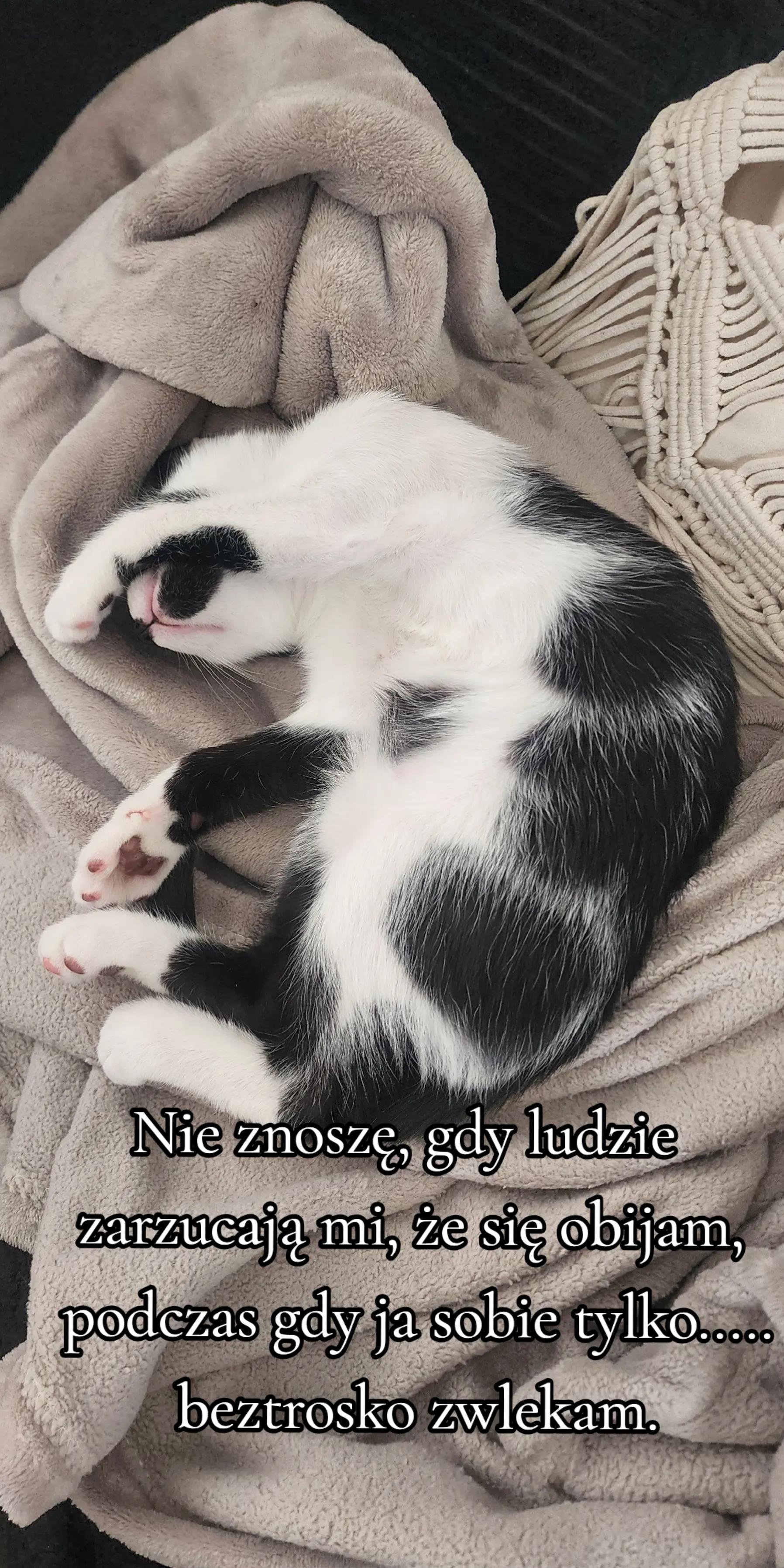 @mariolanu0