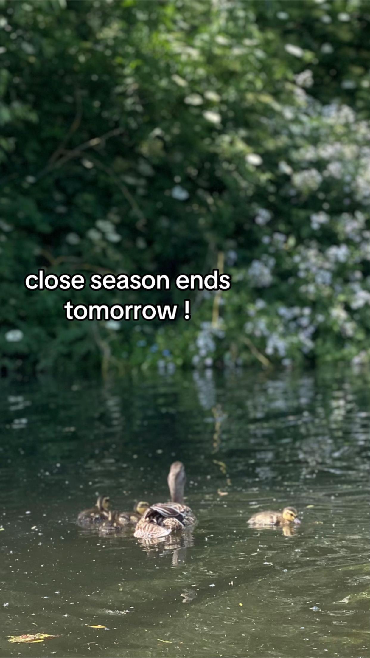 @🎣