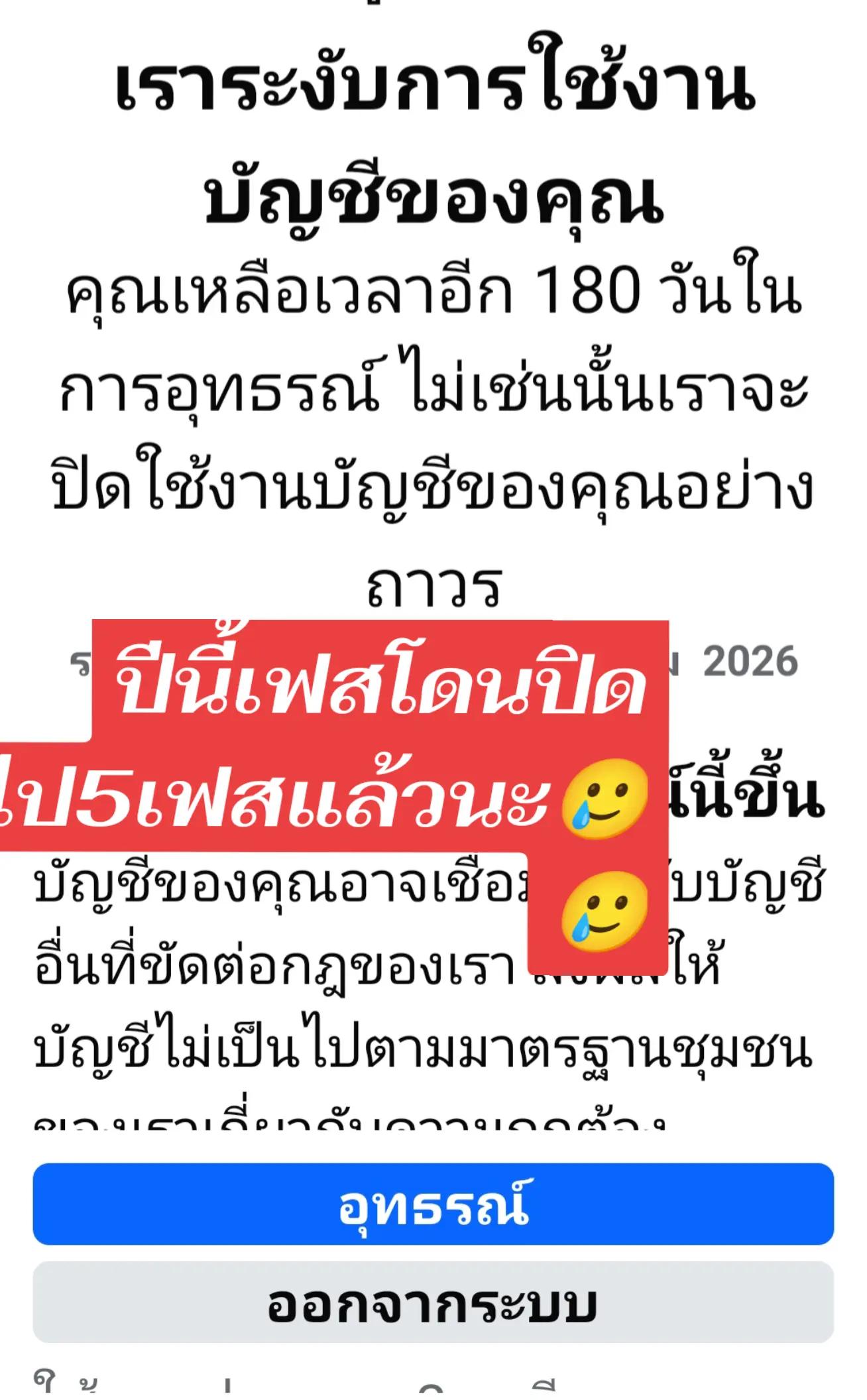 @🤍 ยูเบียร์ 🐰