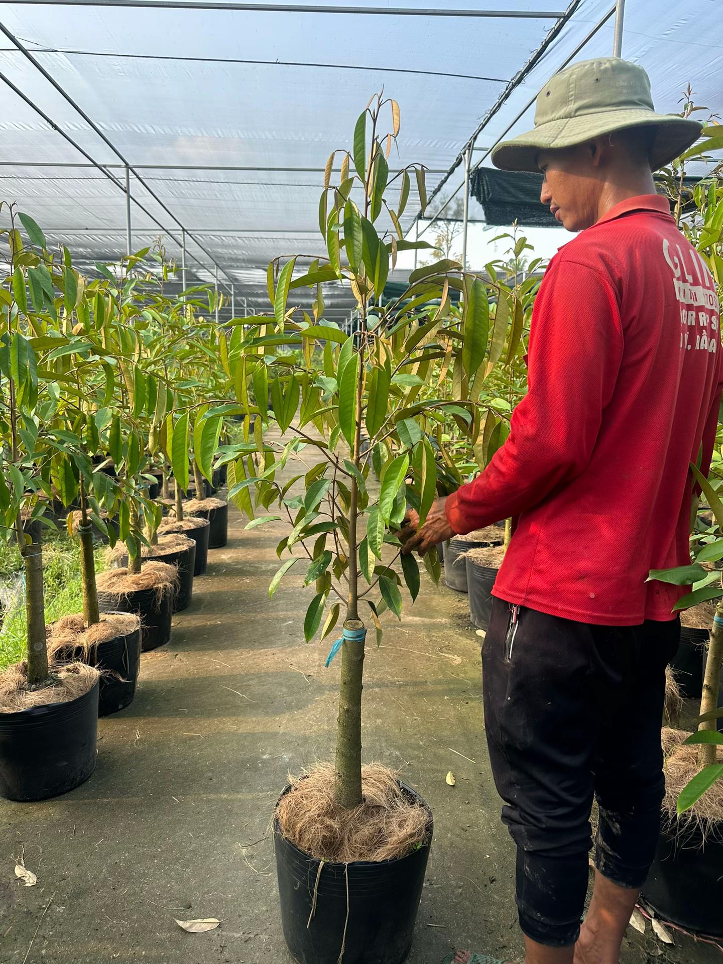 @H&ugrave;ng Chương STCG Welofarm