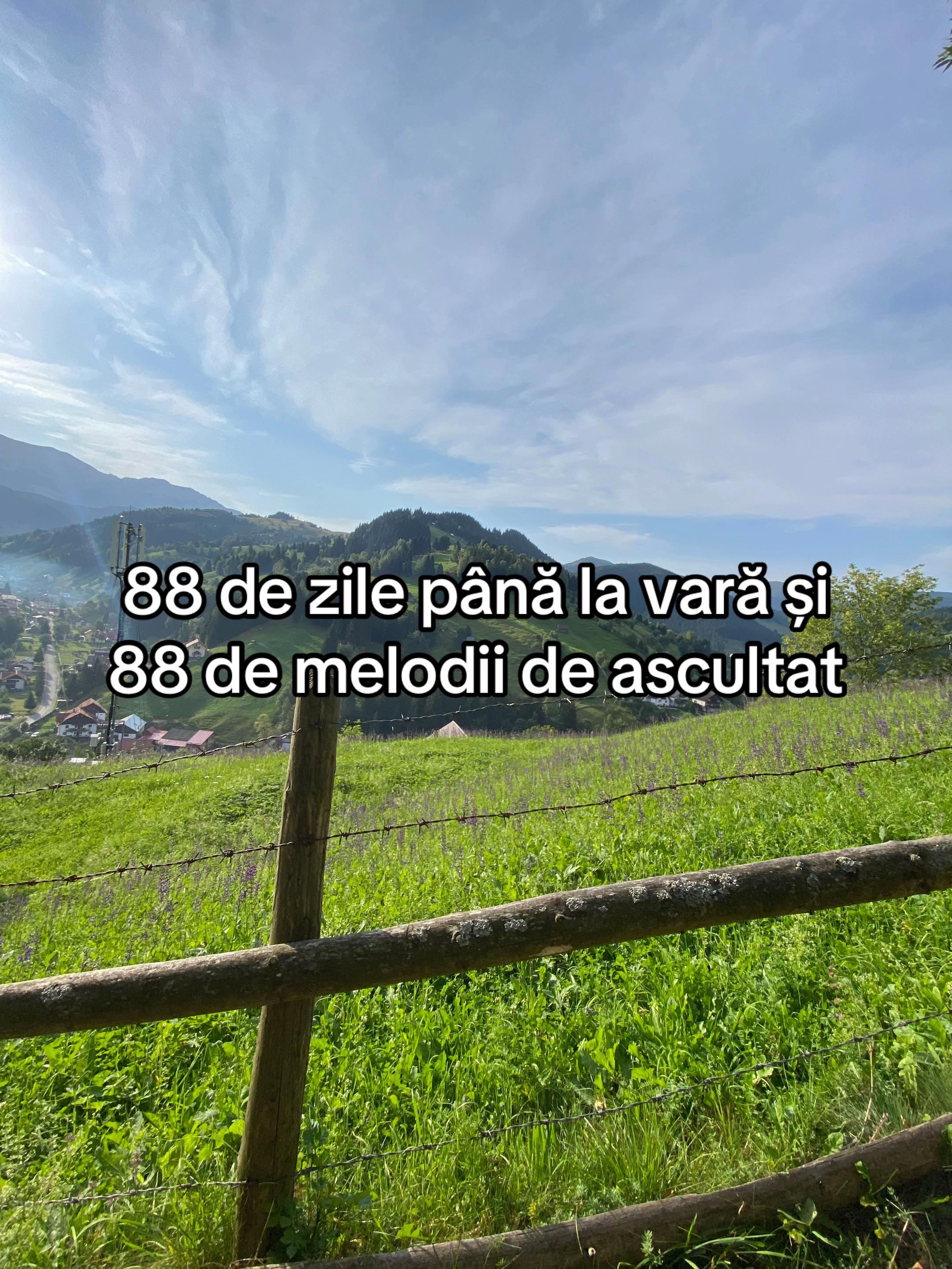 @Sorina Valentina