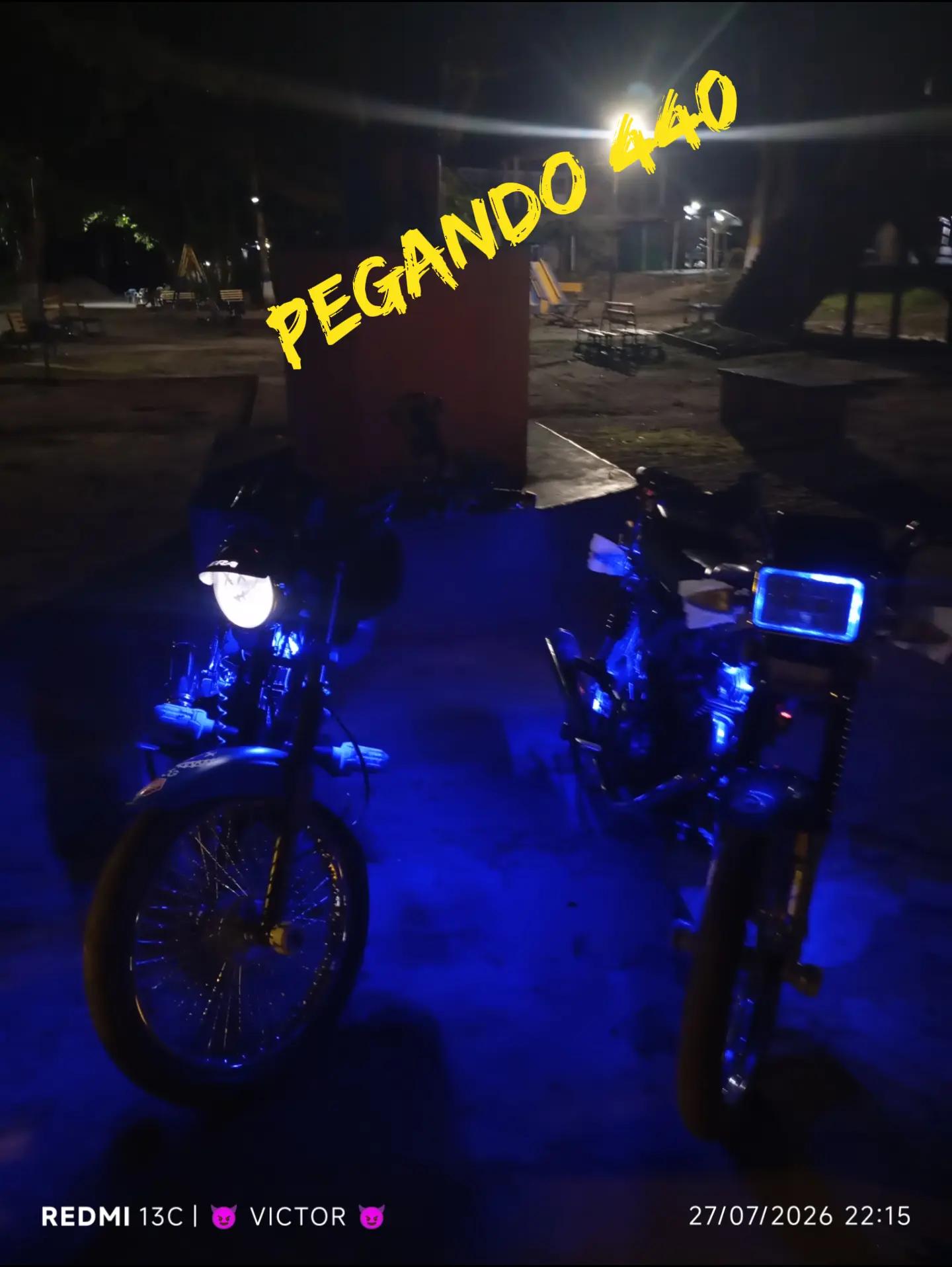 @⁵⁰⁵pantertravk