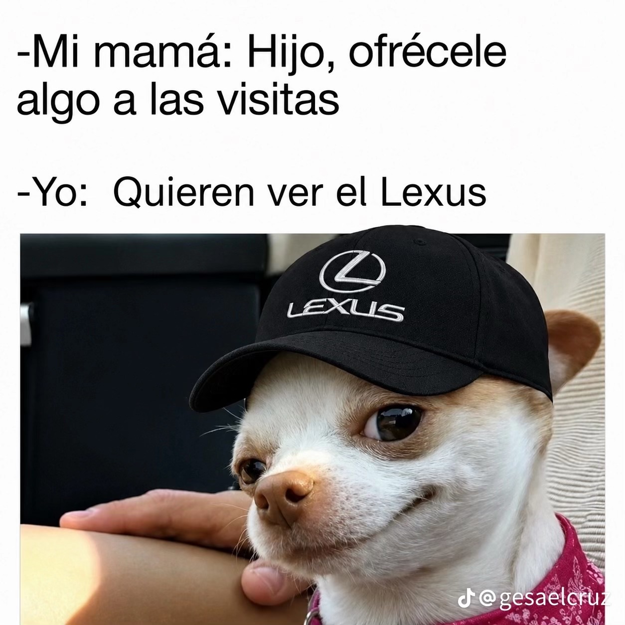 @alexferei200t